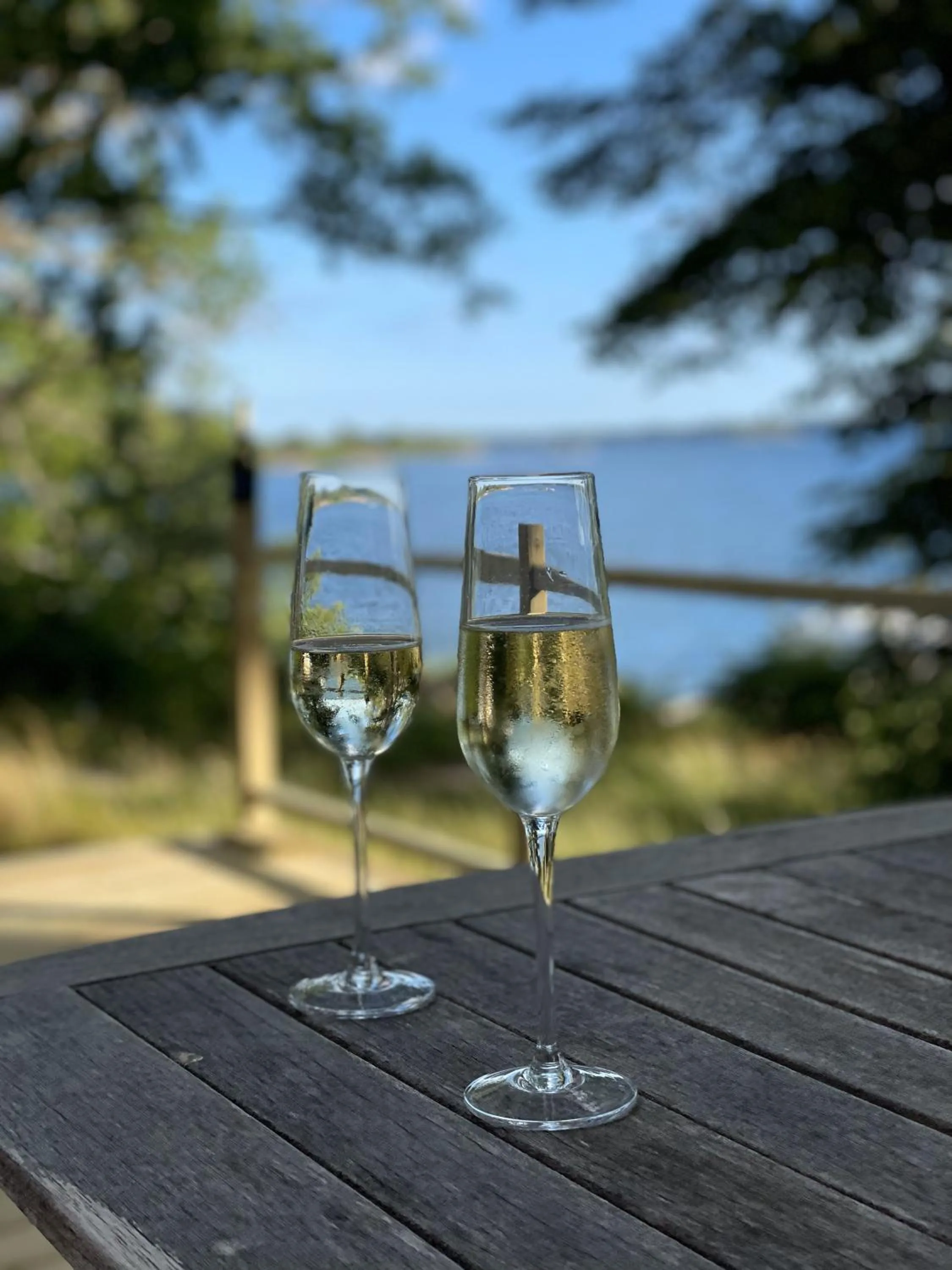 Bergs Gård & Hållsvikens Gård