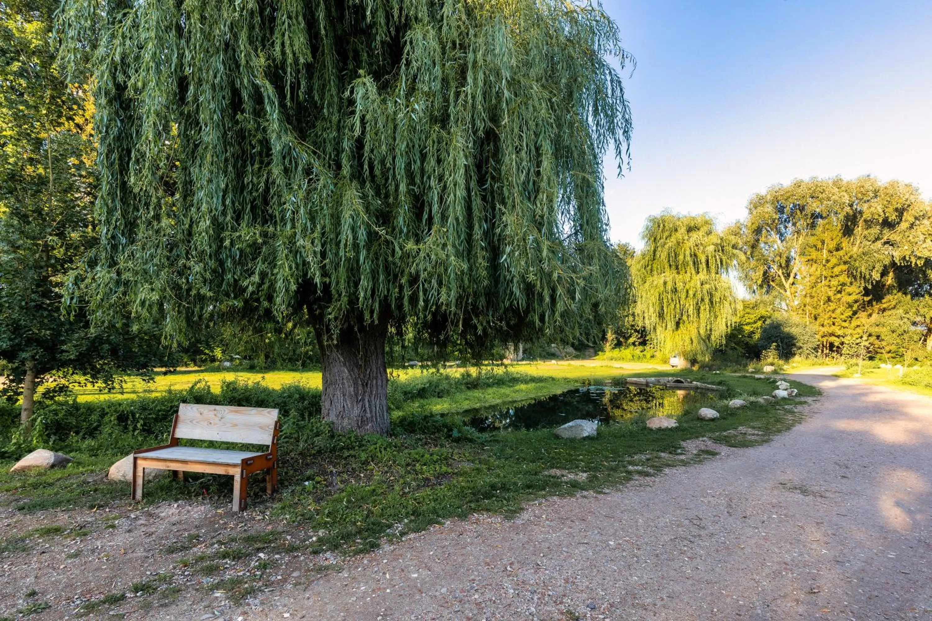 Garden in Hotel 11 Eulen