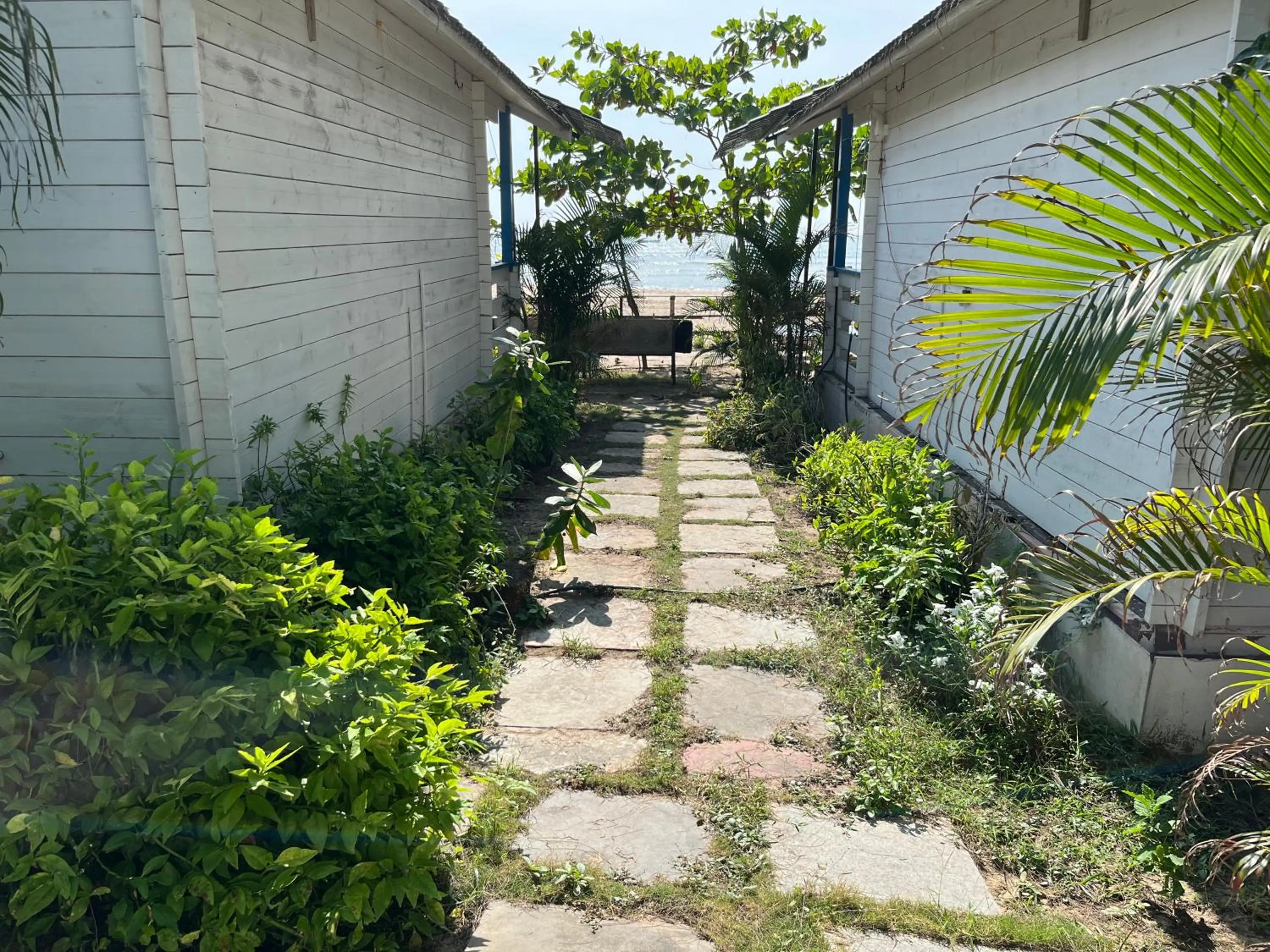 View (from property/room) in Agonda island view