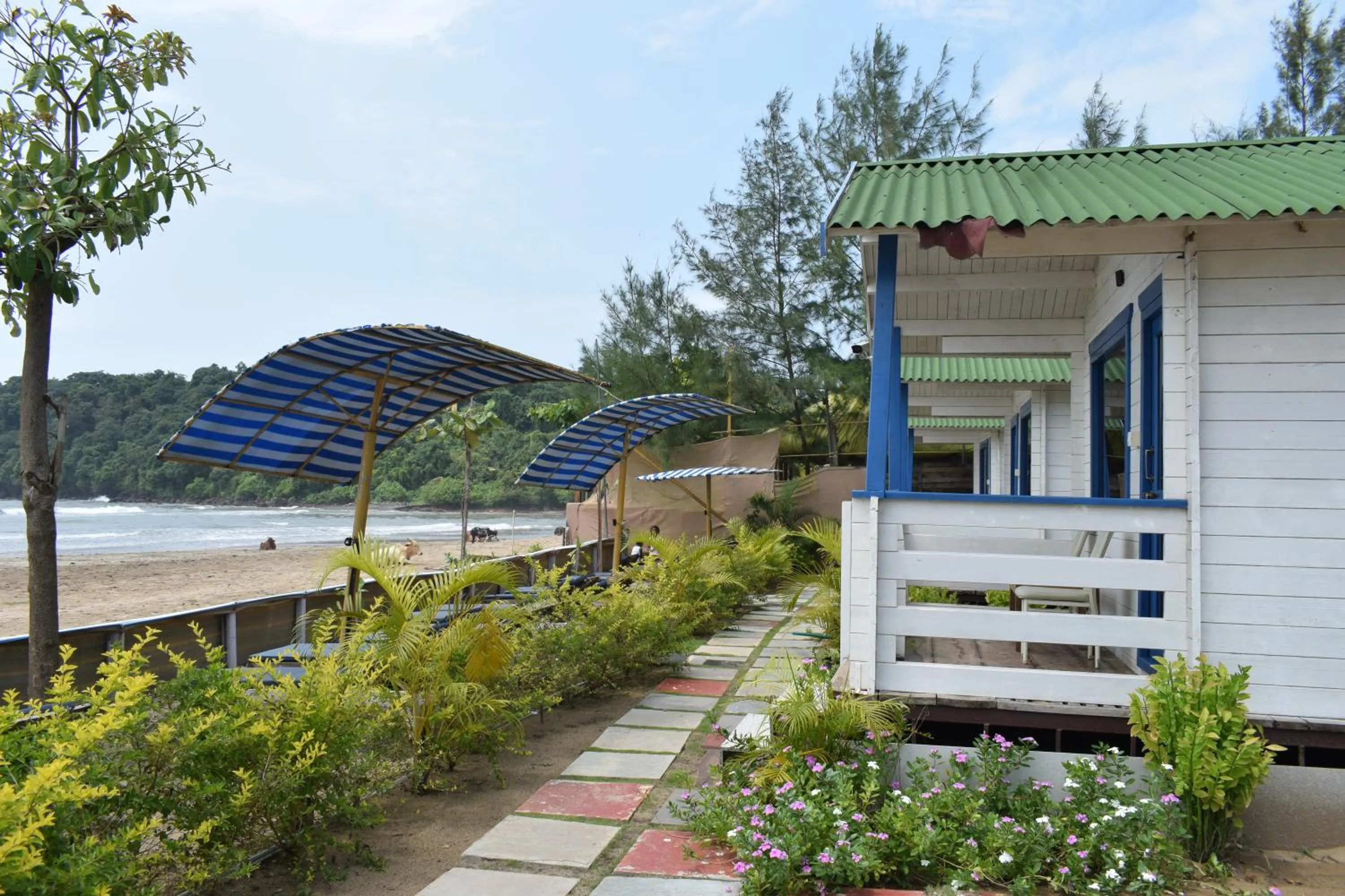 Garden view in Agonda island view