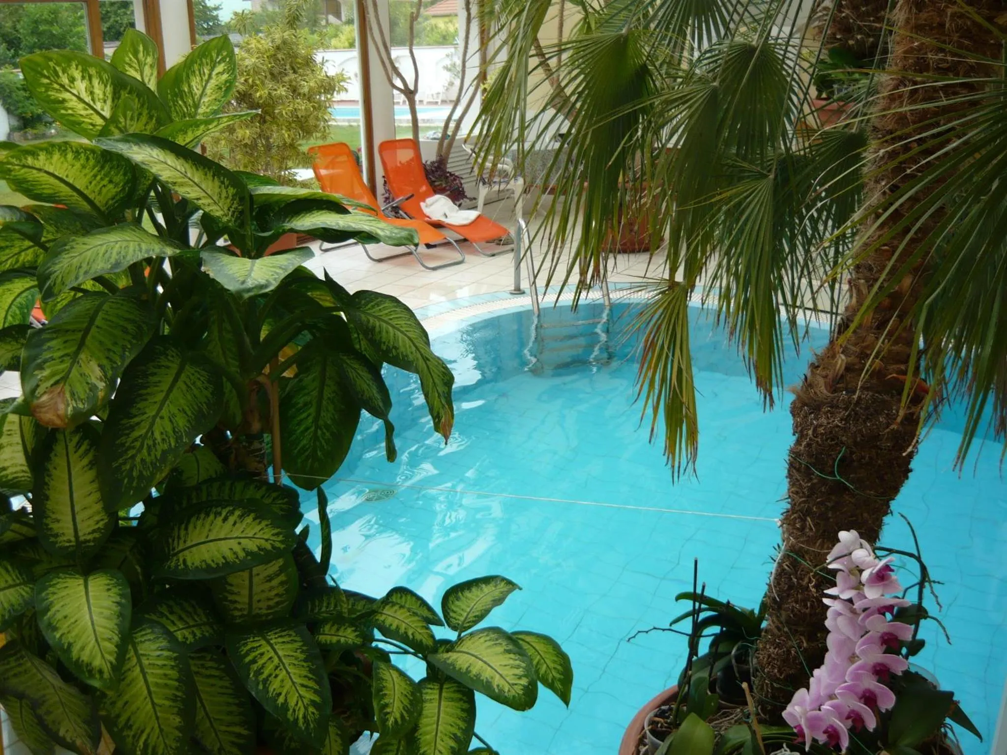 Swimming pool in Wellness Hotel Kakadu