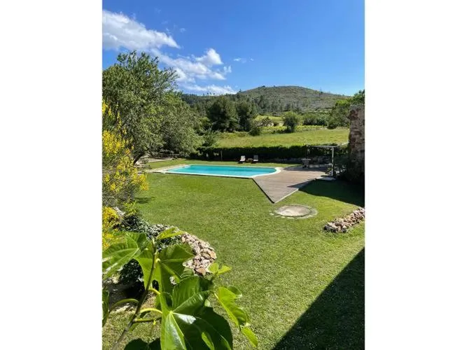 Swimming pool in Monte Vinea
