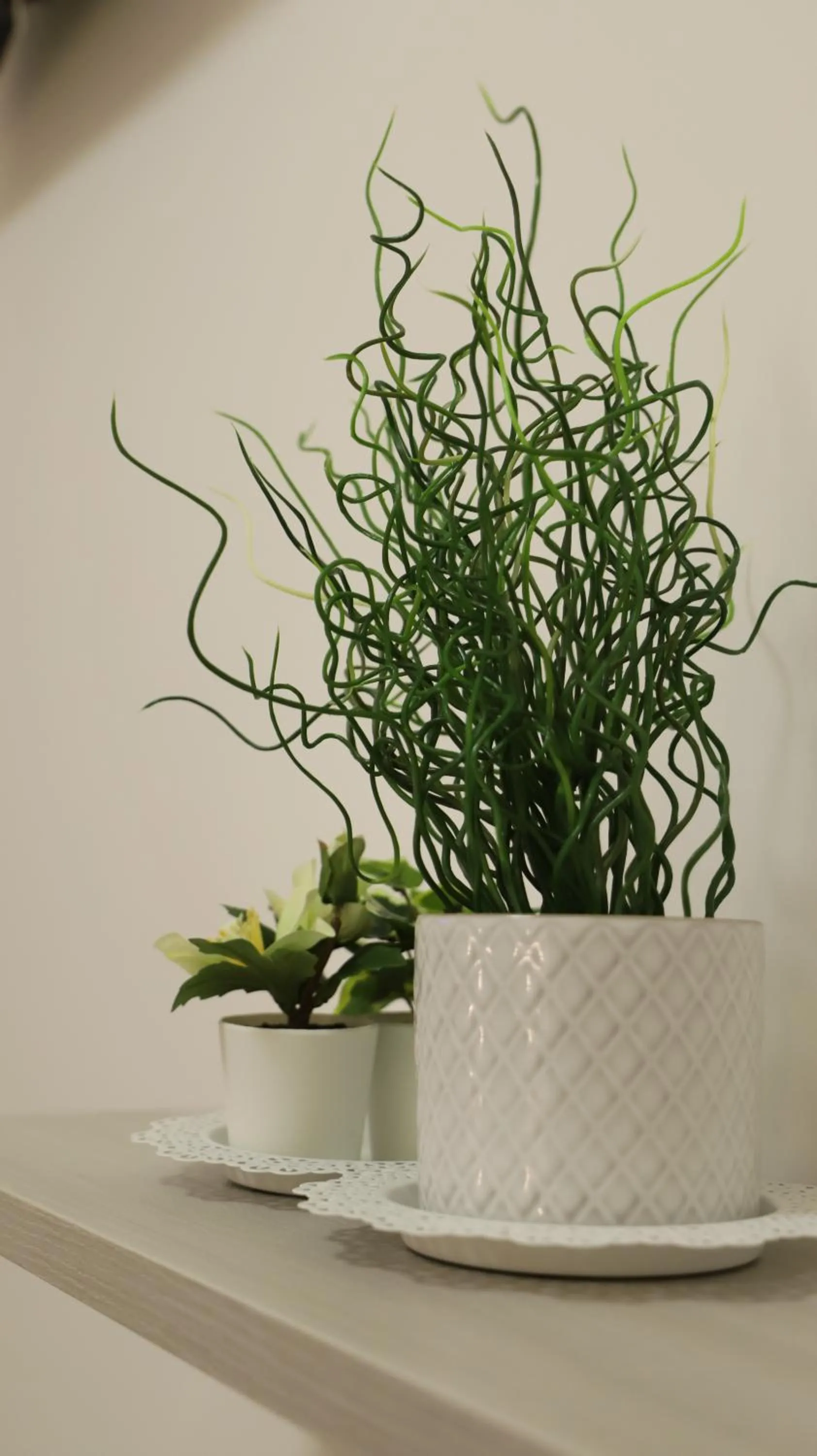 Decorative detail in Avola My House B&B