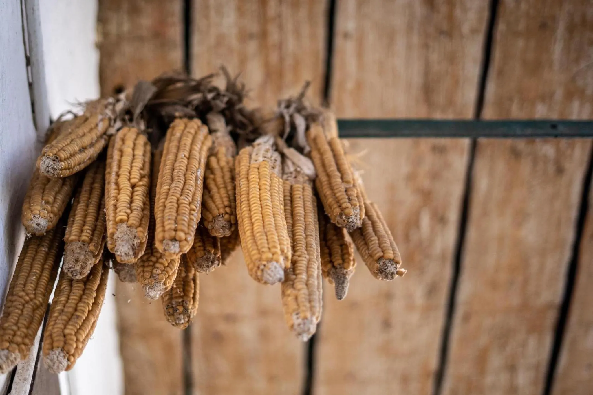 Property building in Tschardakenhof Appartements