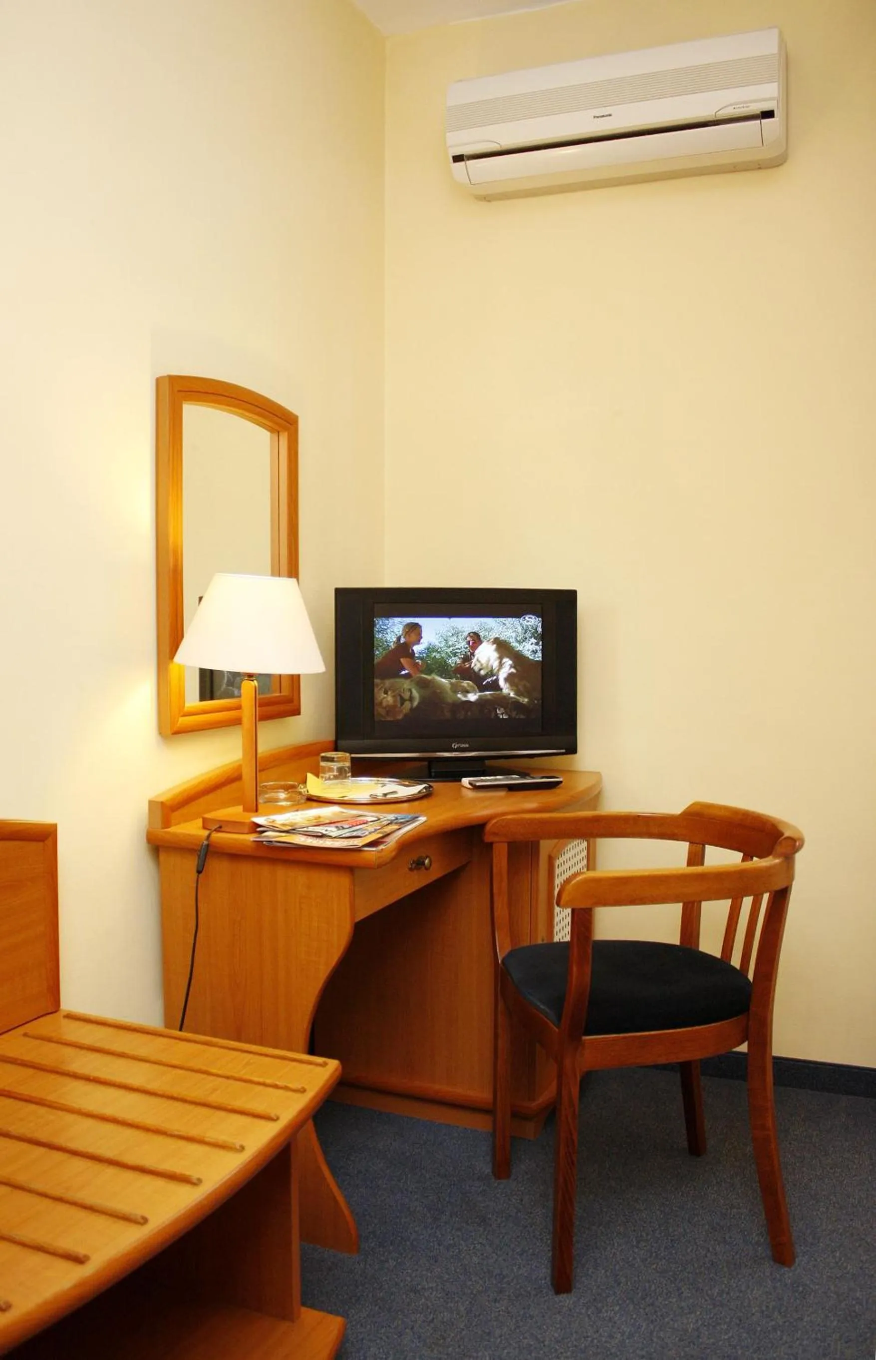 TV and multimedia in Lévay Villa Hotel