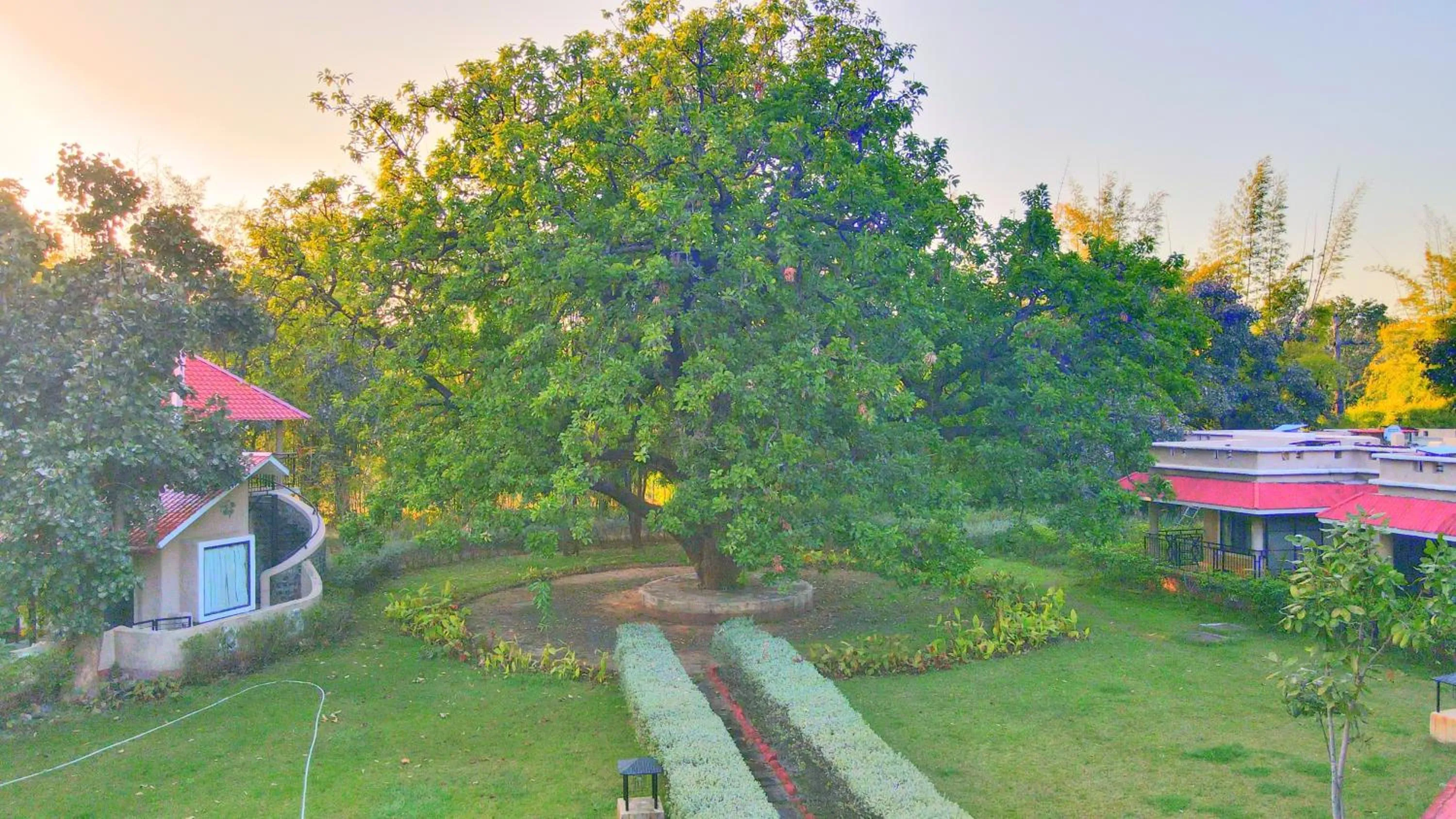 Garden in Bundela Bandhavgarh by Octave