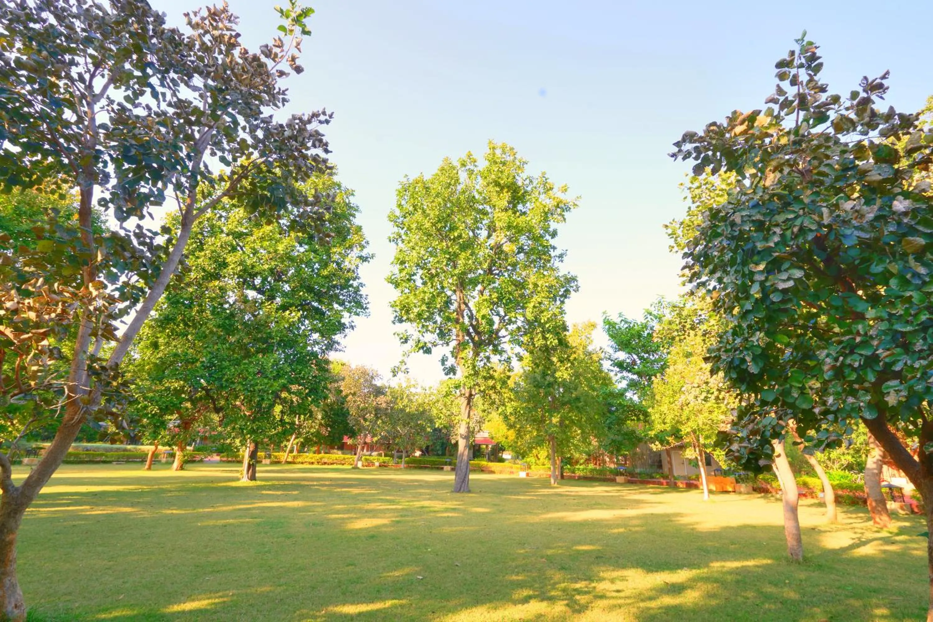 Garden in Bundela Bandhavgarh by Octave