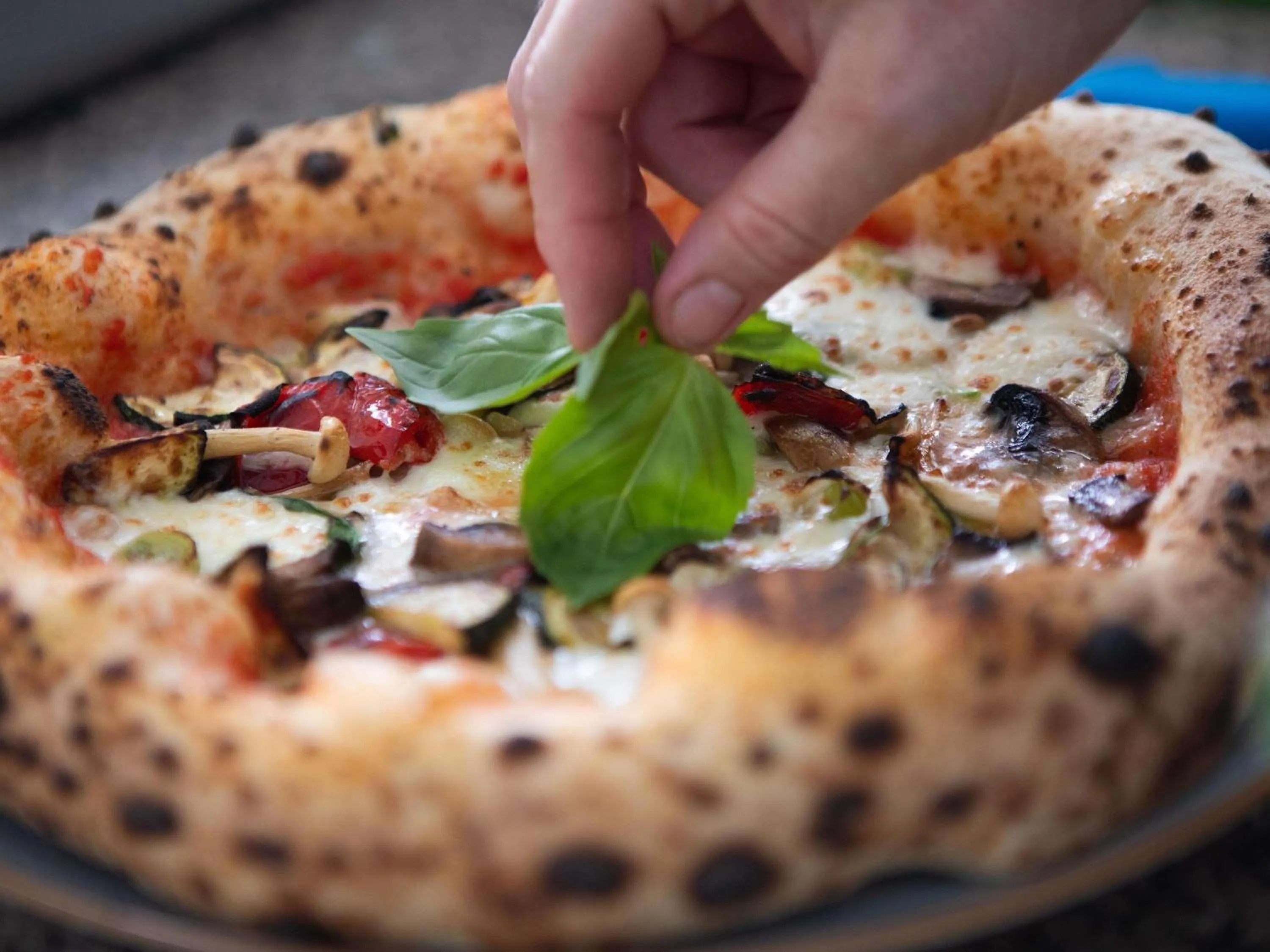 Other in Mercure Tokaj Center