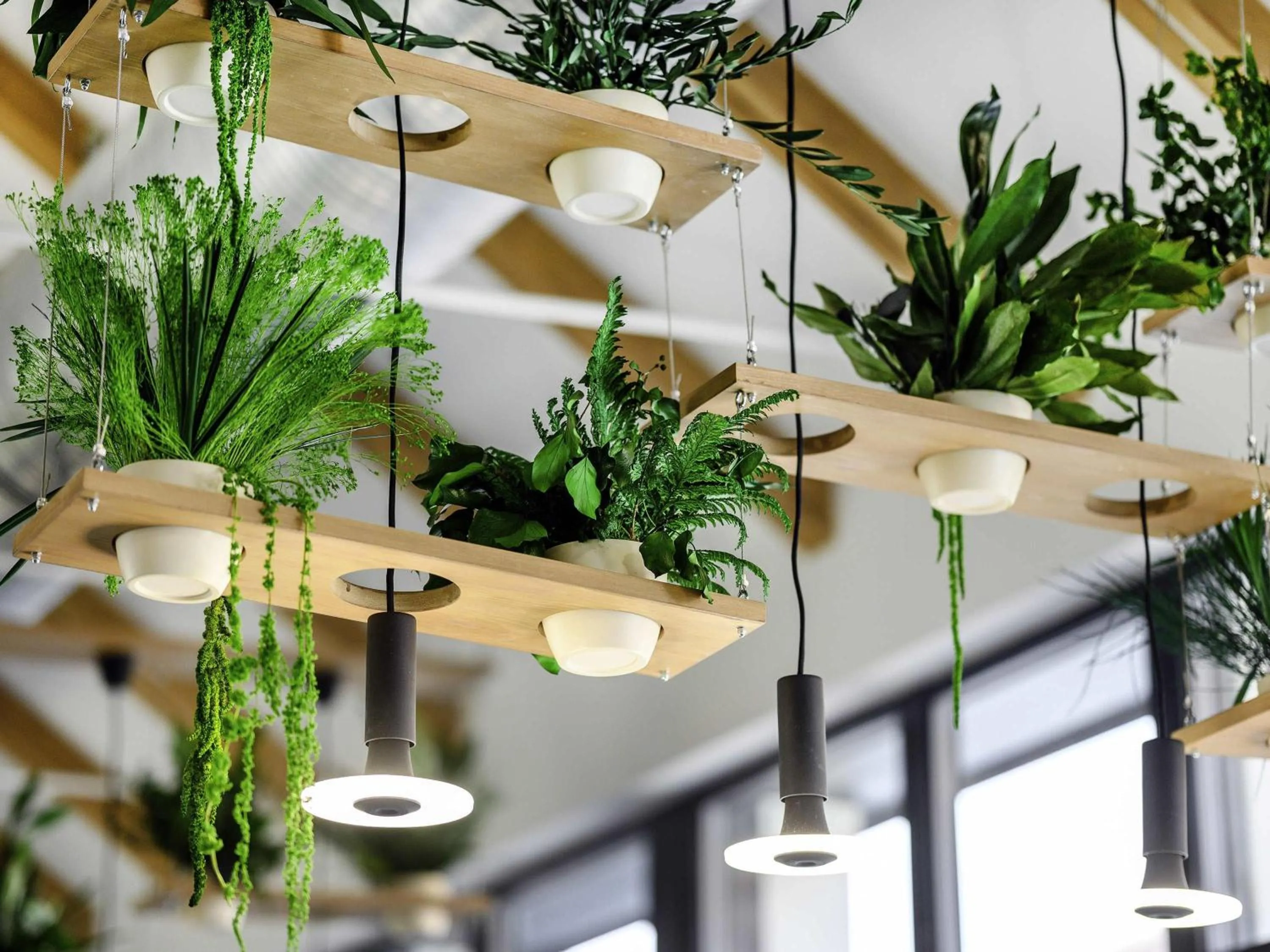 Restaurant/places to eat in Mercure Tokaj Center