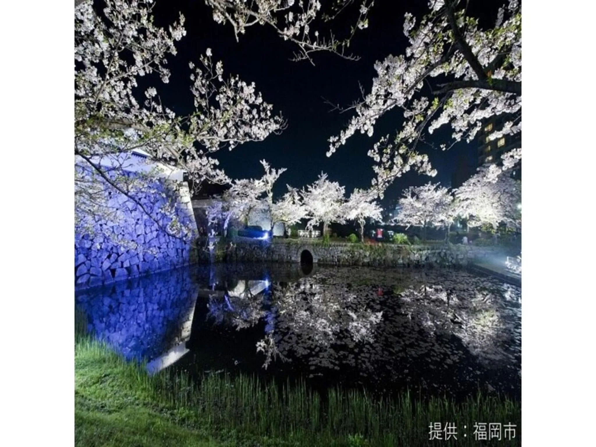 Court Hotel Fukuoka Tenjin - Vacation STAY 42330v