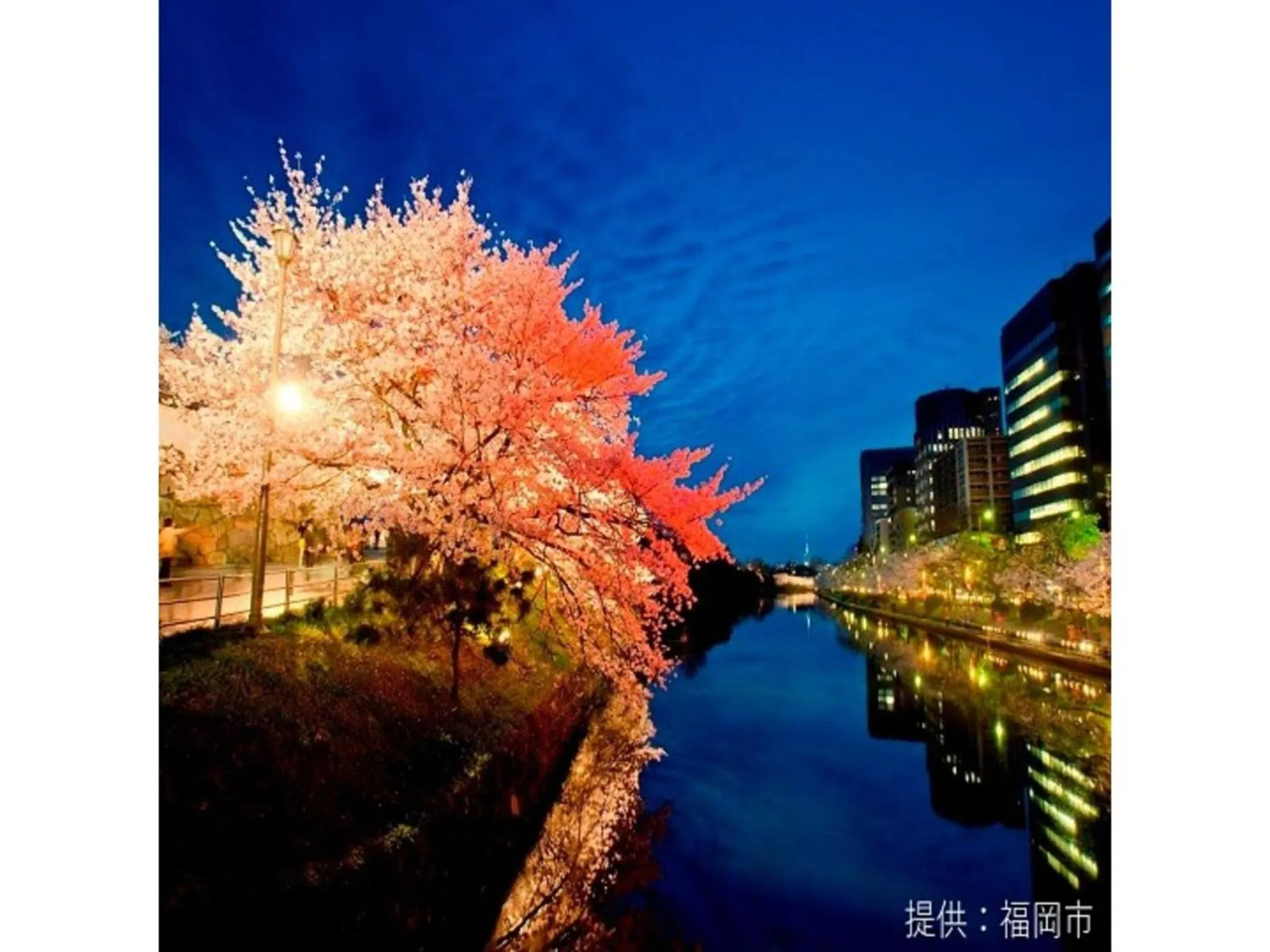 Court Hotel Fukuoka Tenjin - Vacation STAY 42330v