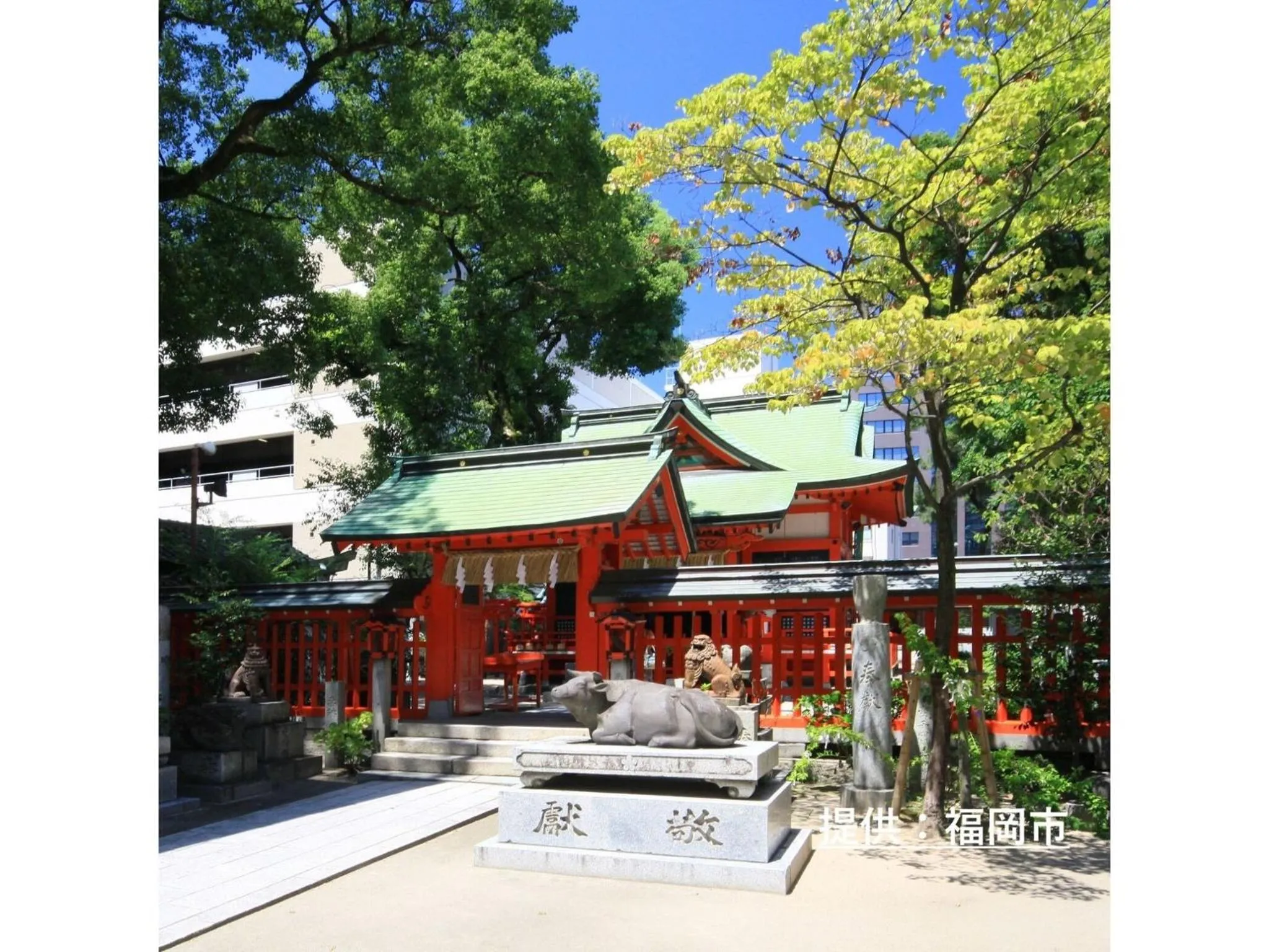 Court Hotel Fukuoka Tenjin - Vacation STAY 42334v