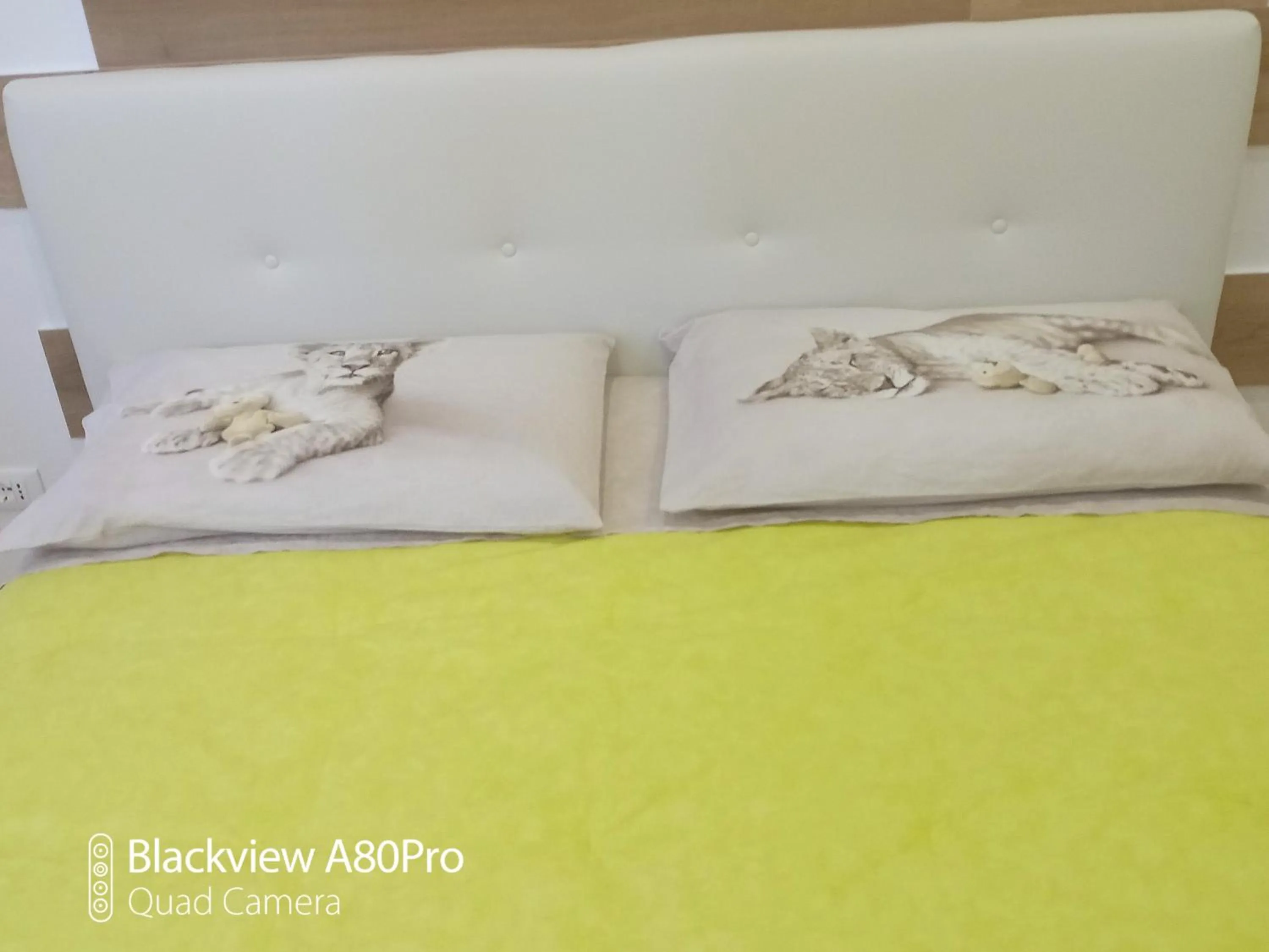 Bedroom, Bed in Rosa House