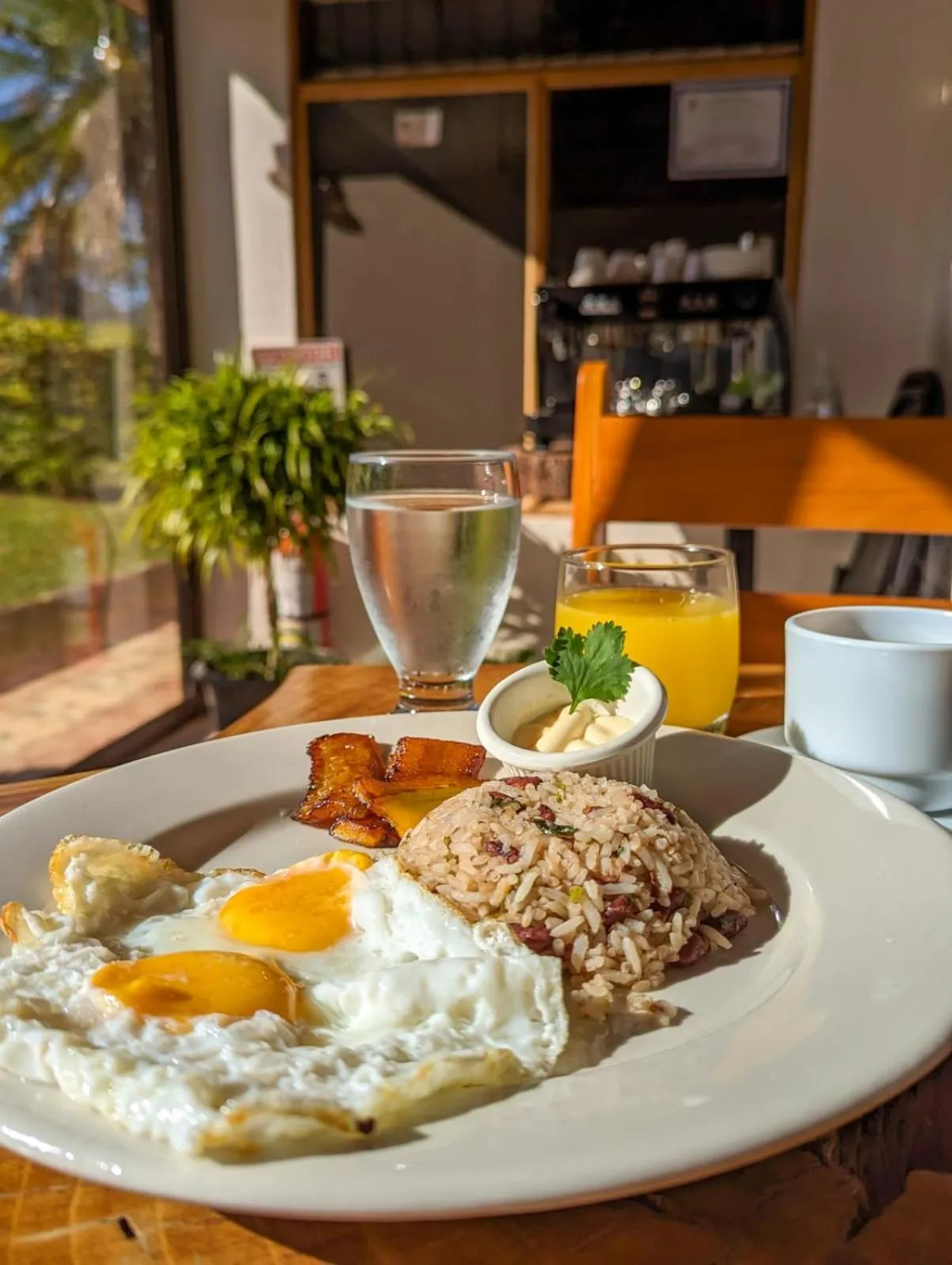 Restaurant/places to eat in El Nido Lodge