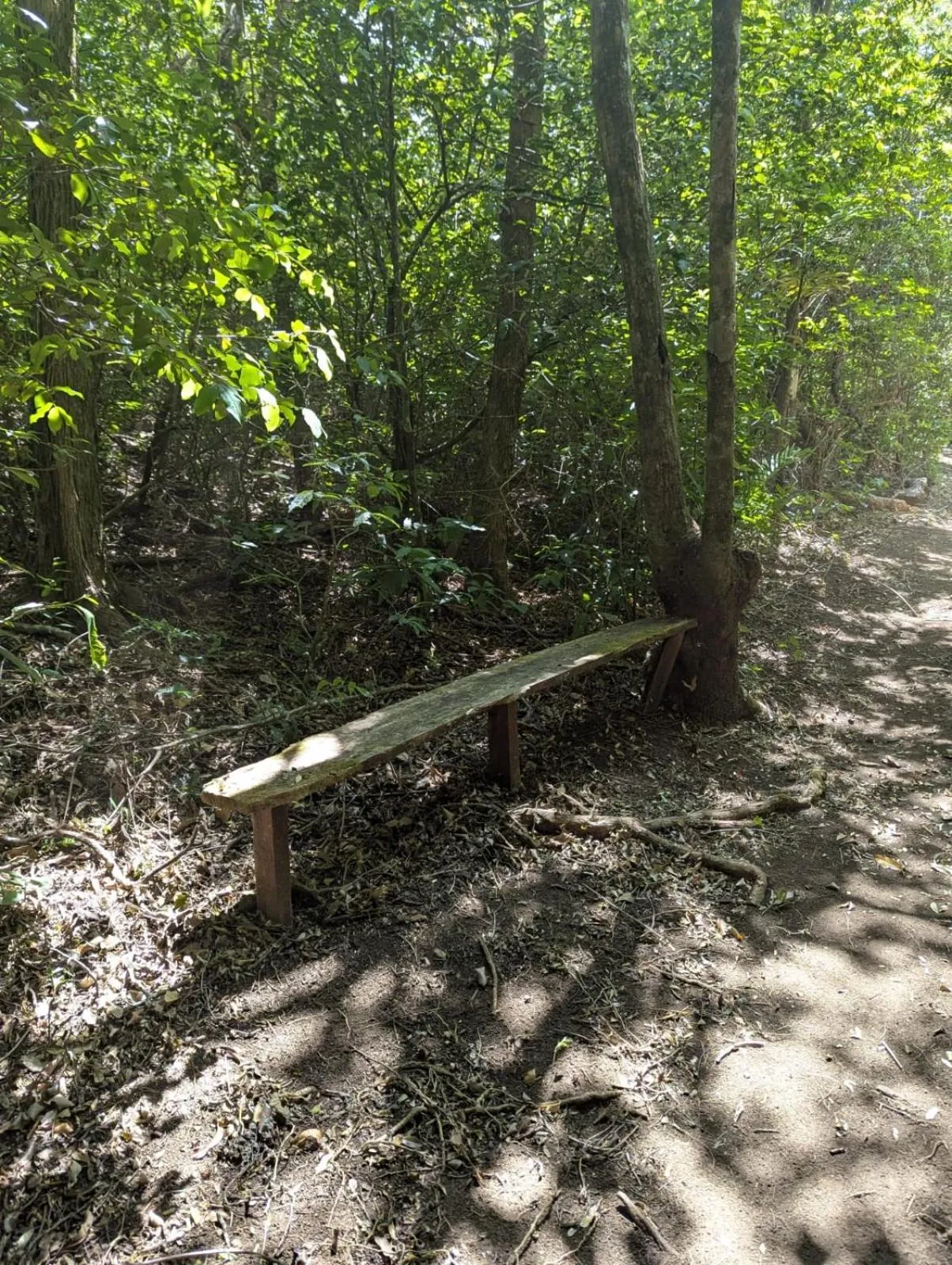 Mountain view in El Nido Lodge