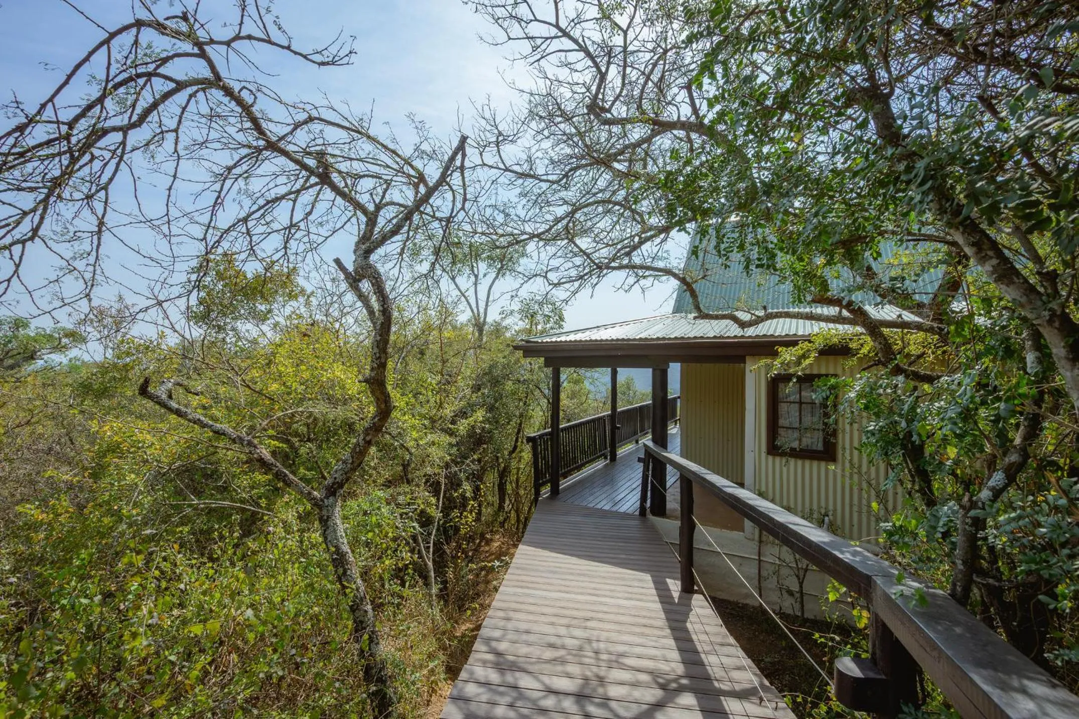 Camp Figtree by The Oyster Collection