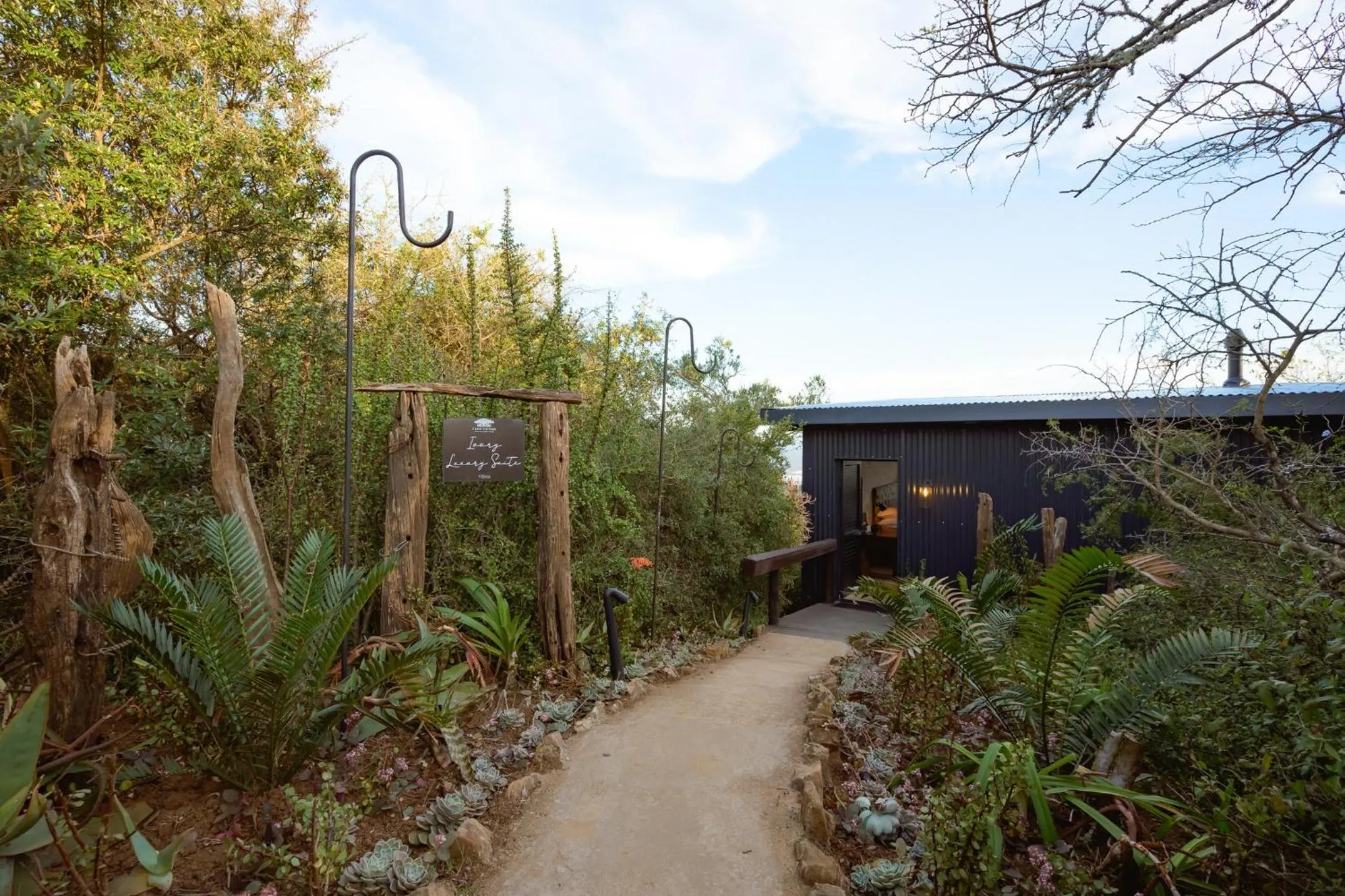 Camp Figtree by The Oyster Collection