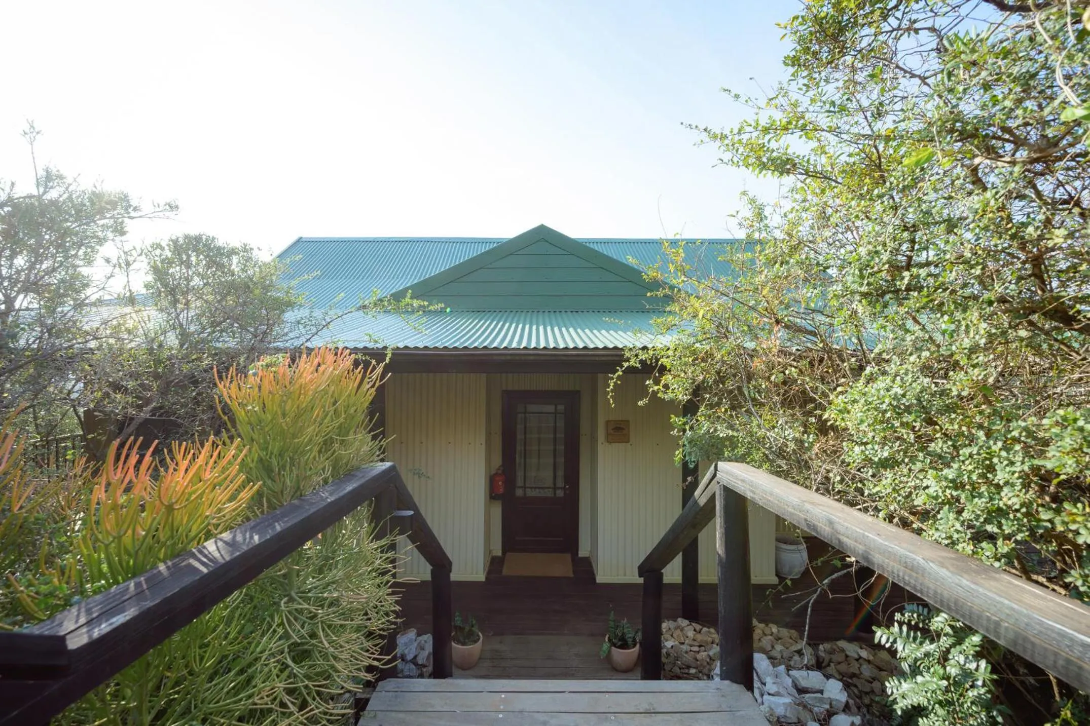 Camp Figtree by The Oyster Collection