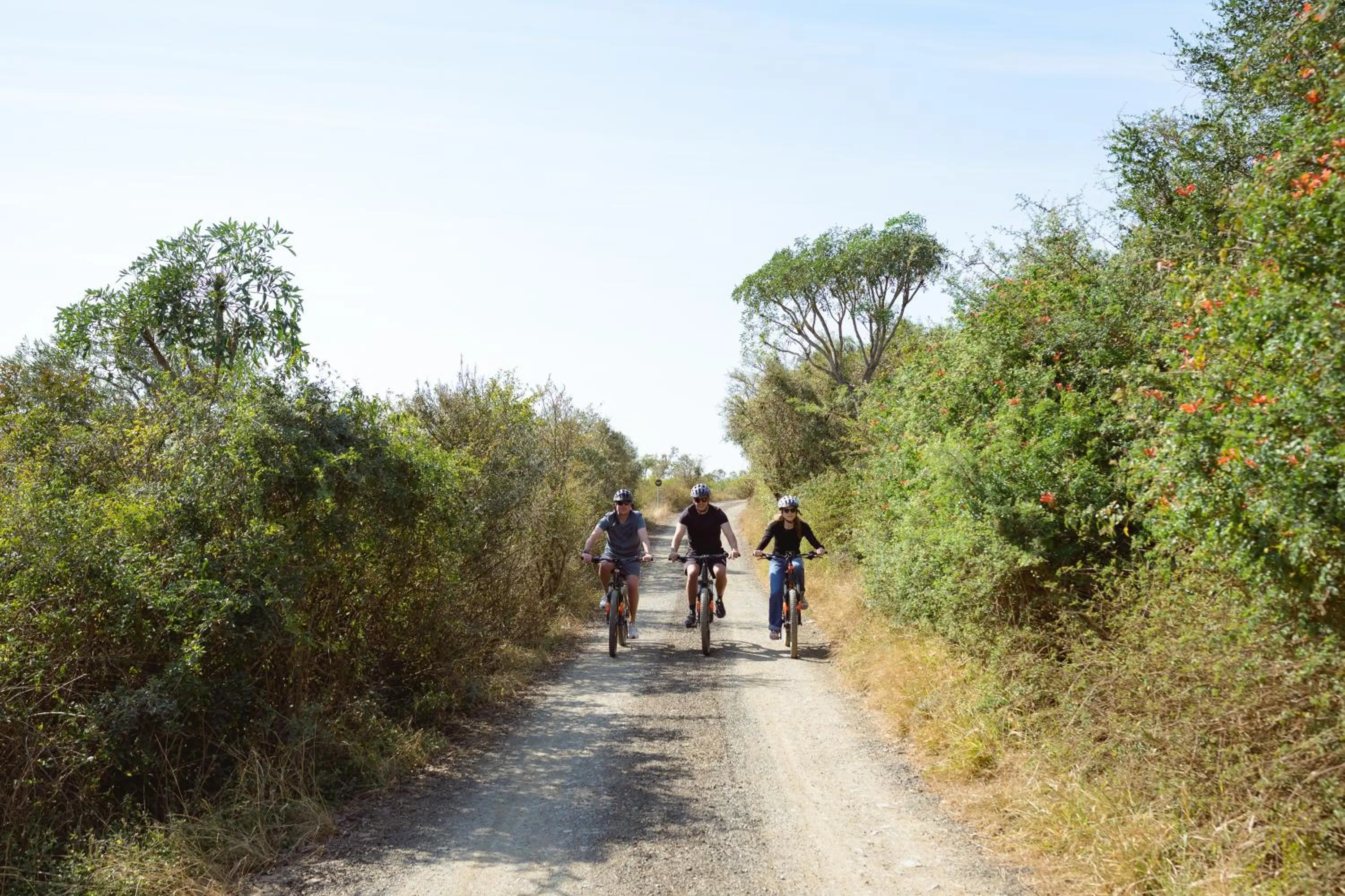 Camp Figtree by The Oyster Collection