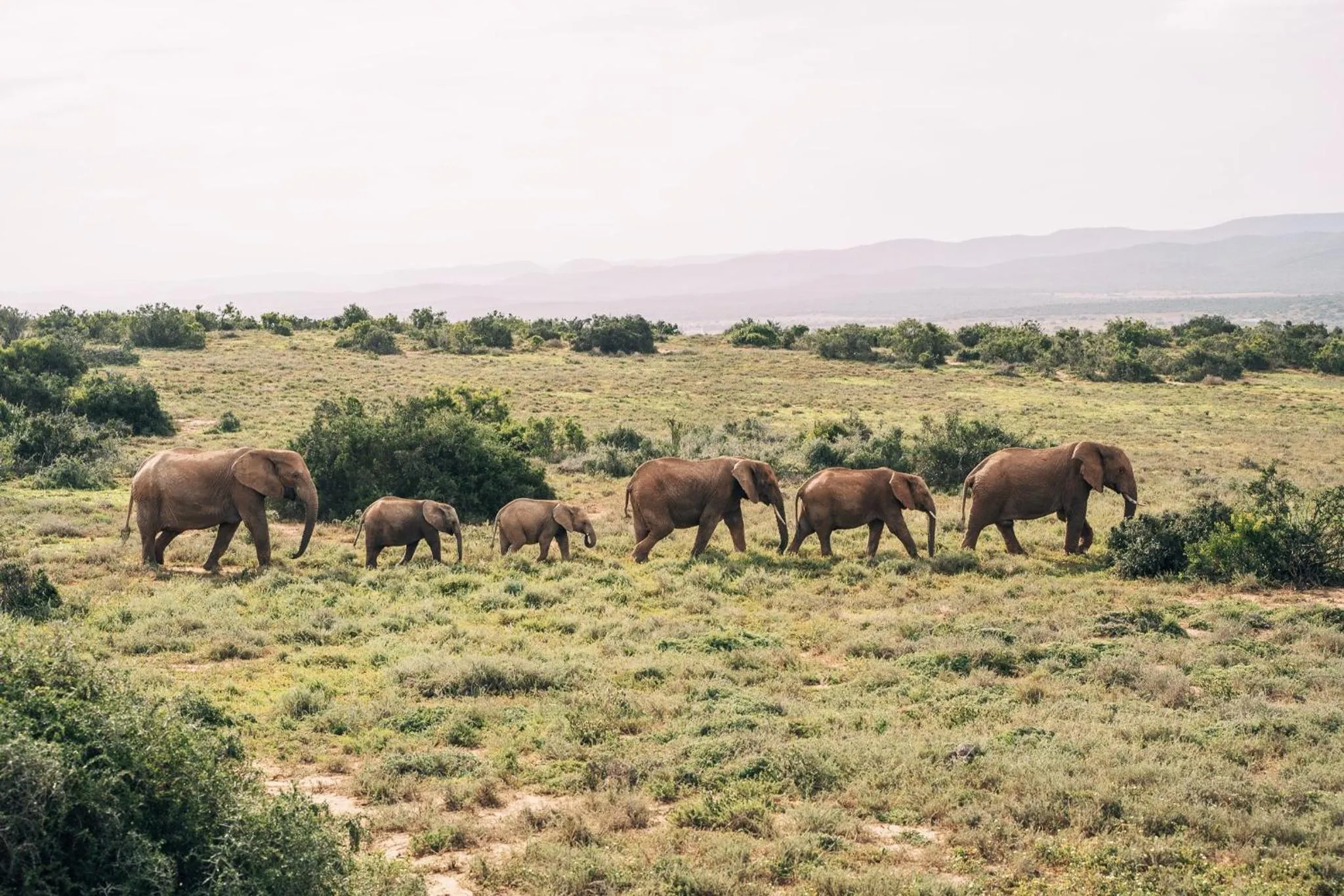 Activities in Camp Figtree by The Oyster Collection