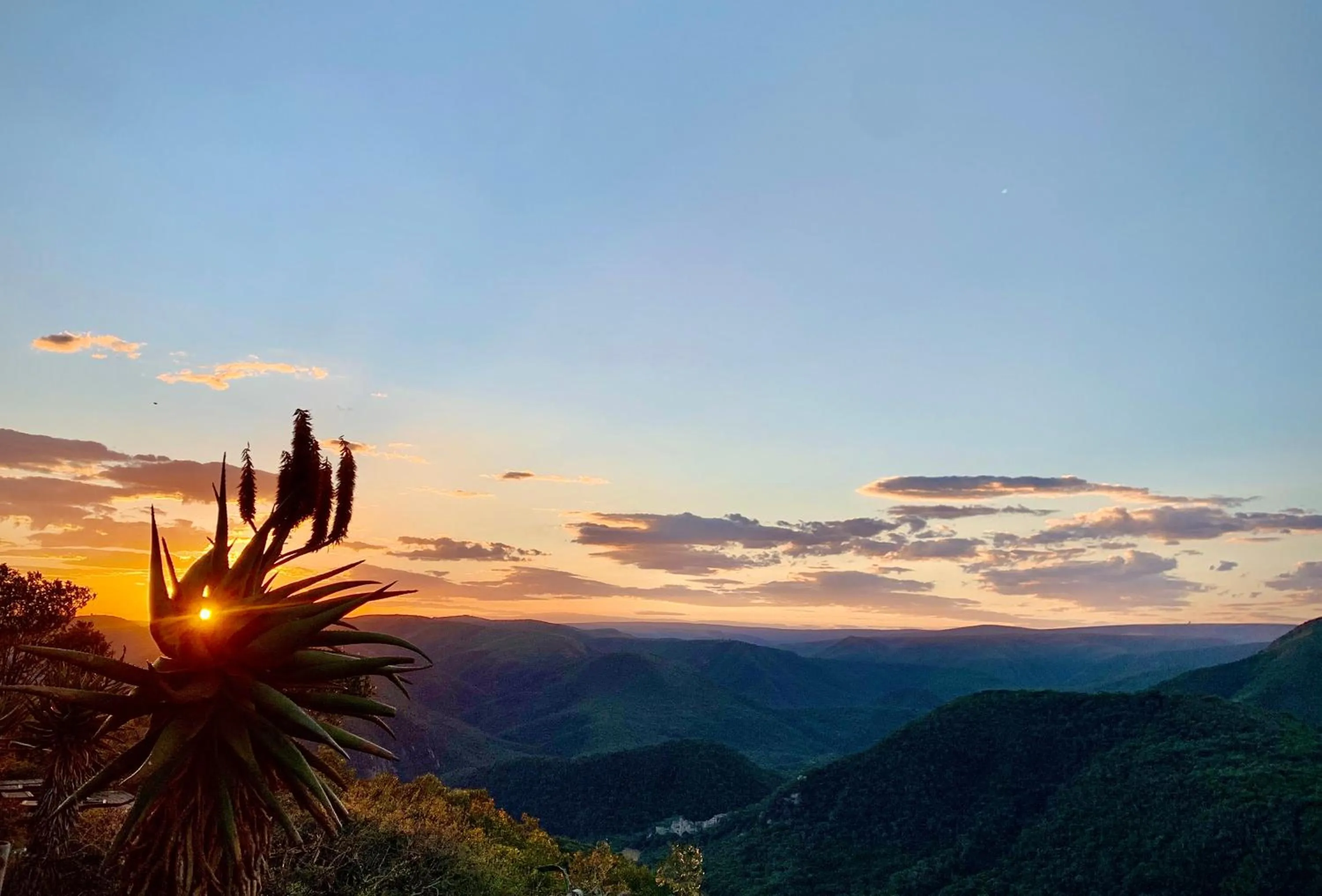 Camp Figtree by The Oyster Collection