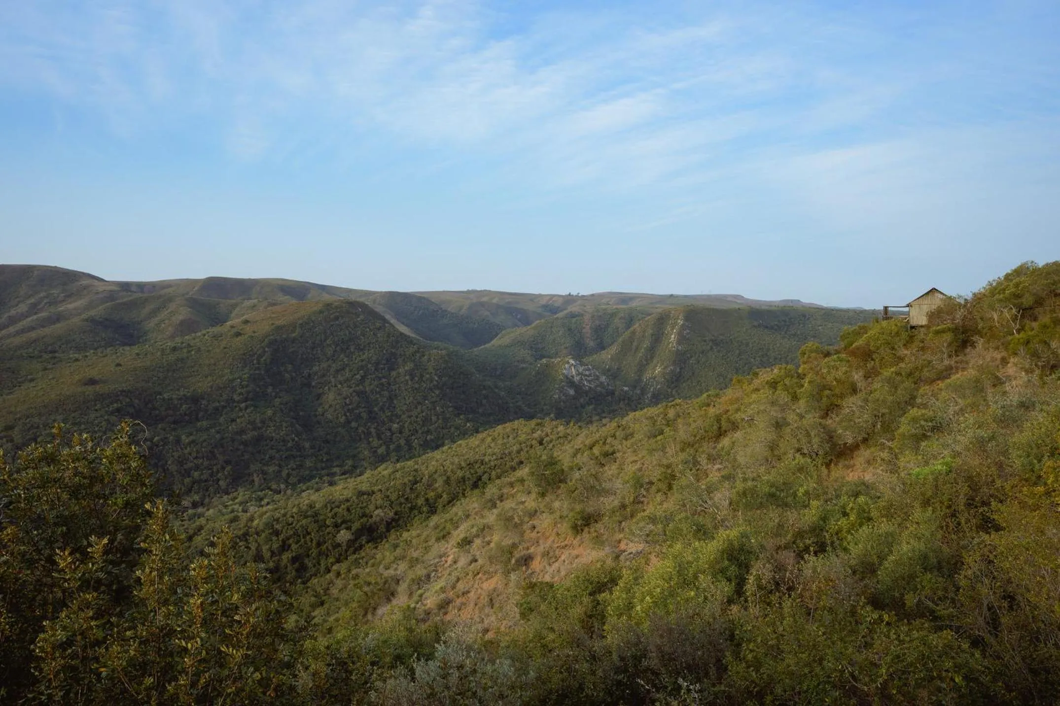 Camp Figtree by The Oyster Collection