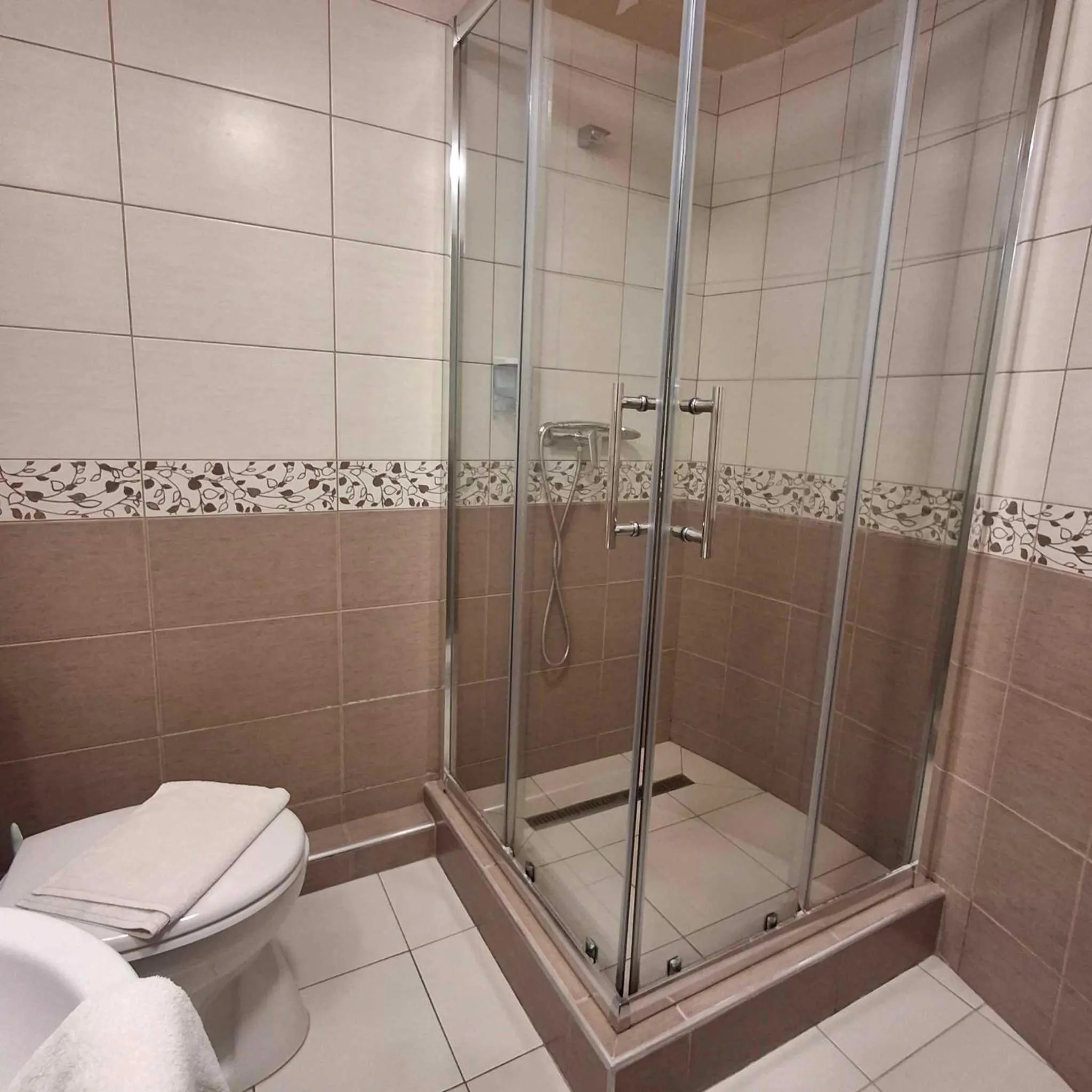 Shower in Hotel Unicornis