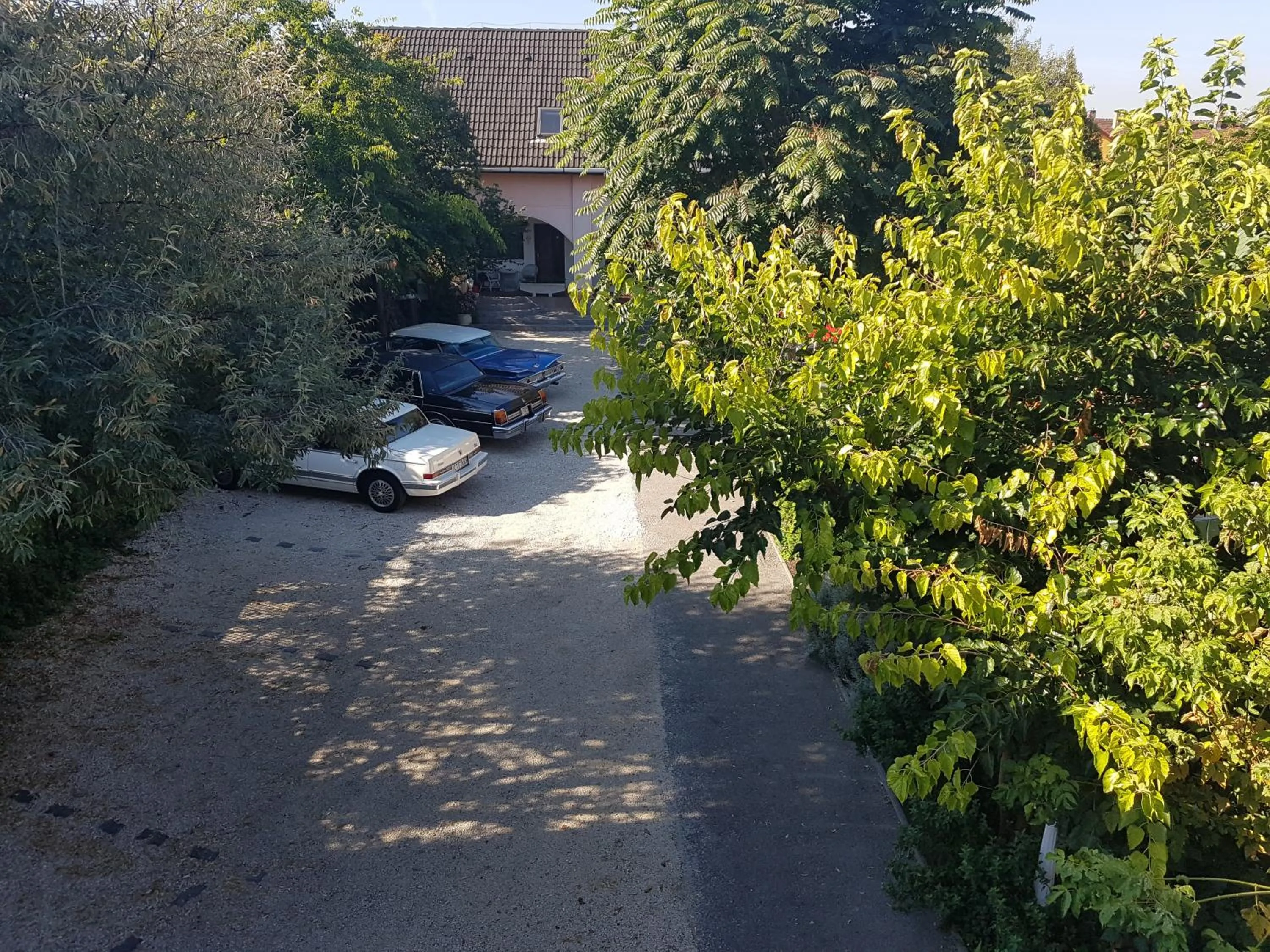 Garden view in Hotel Oswaldo