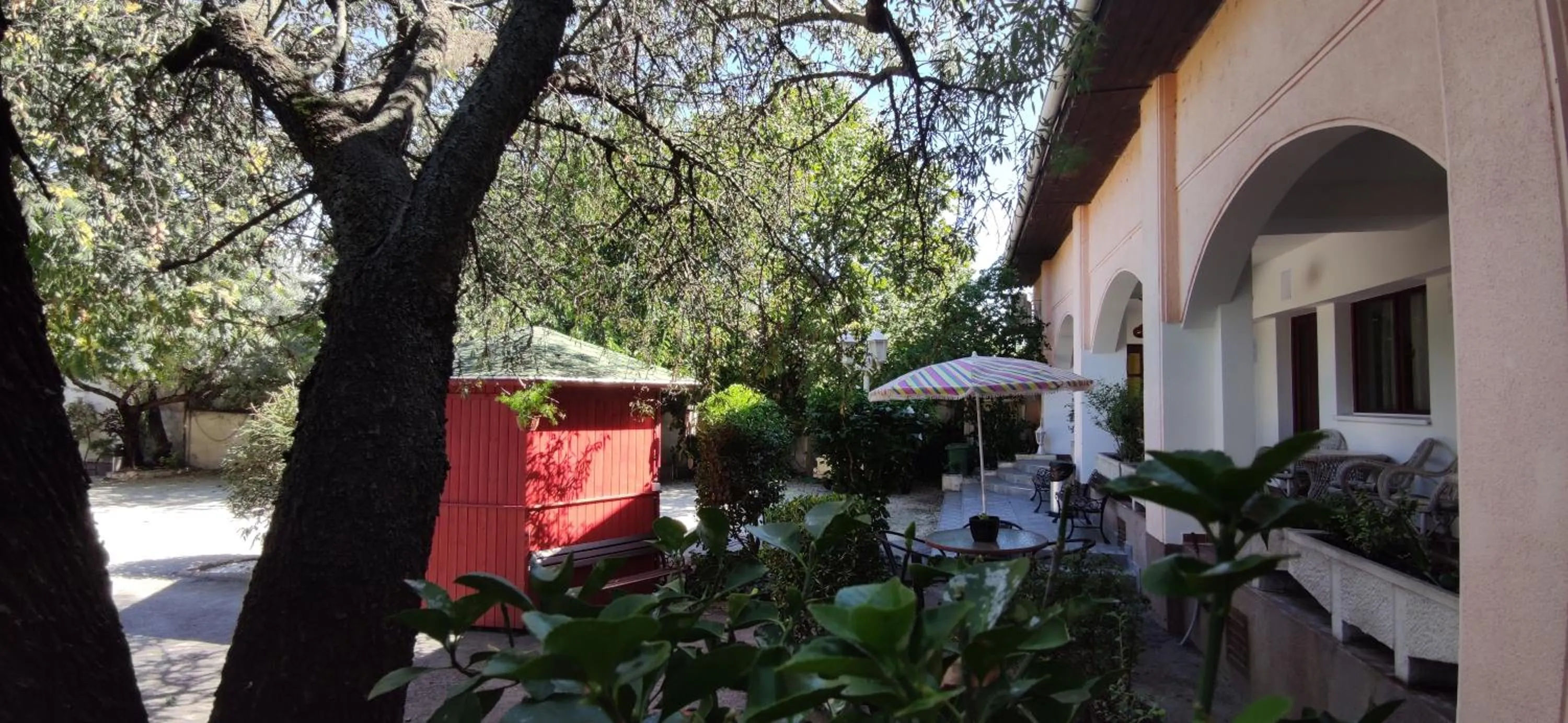 Garden in Hotel Oswaldo