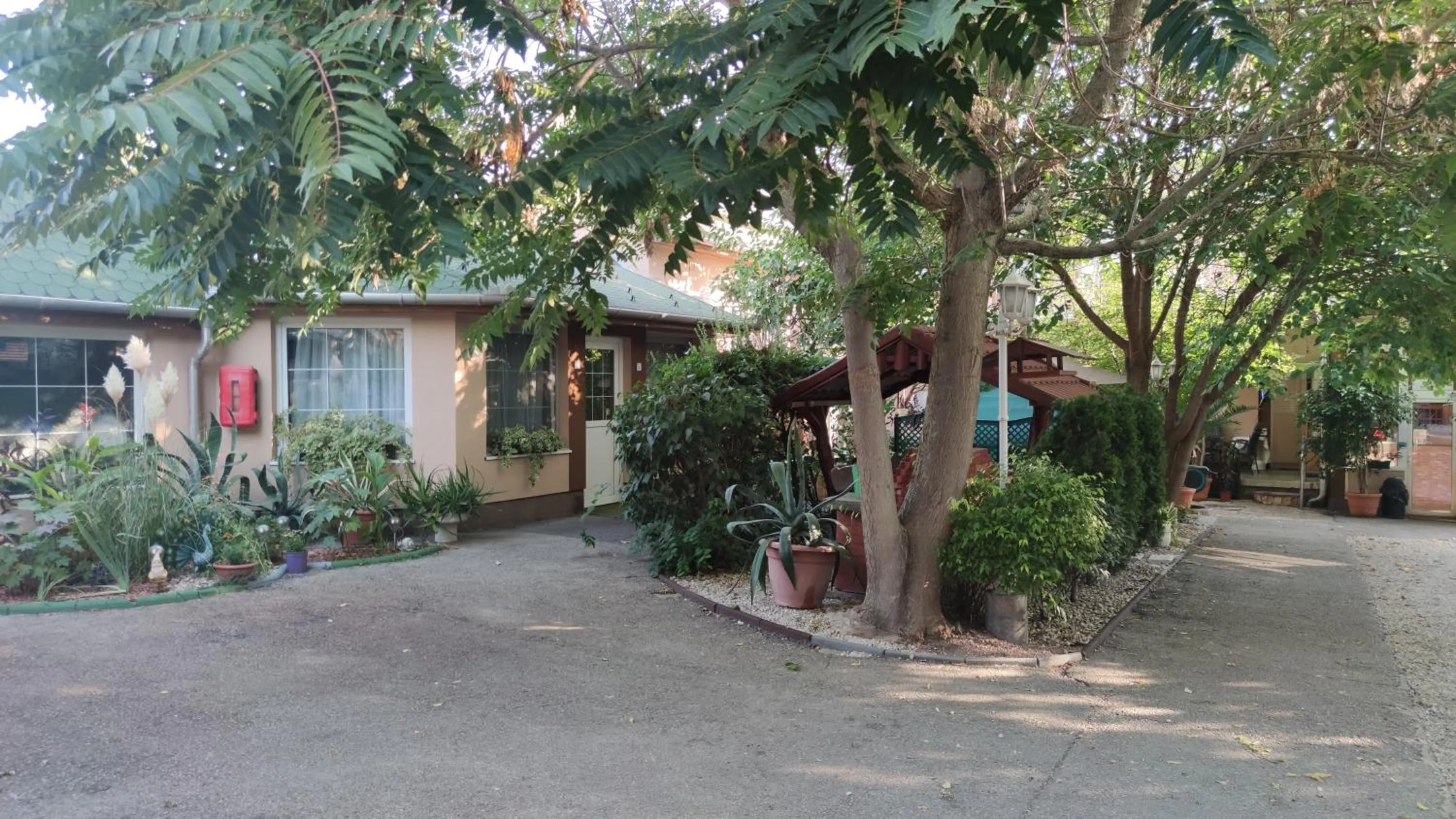 Garden in Hotel Oswaldo