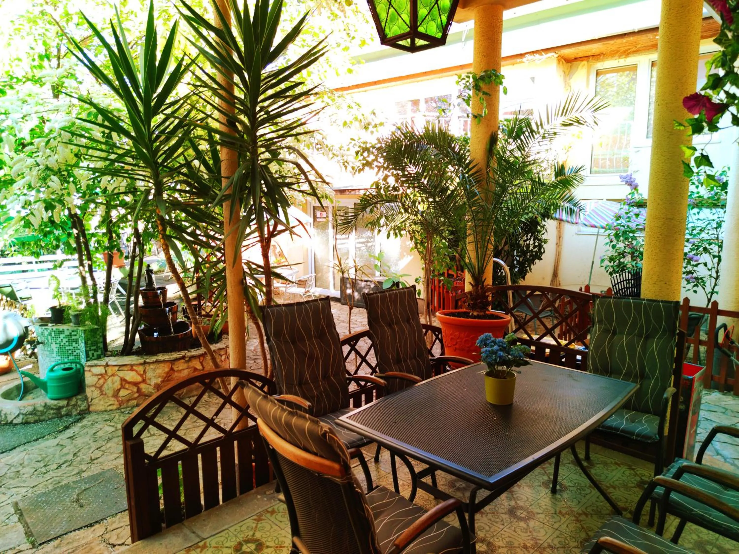 Garden in Hotel Oswaldo