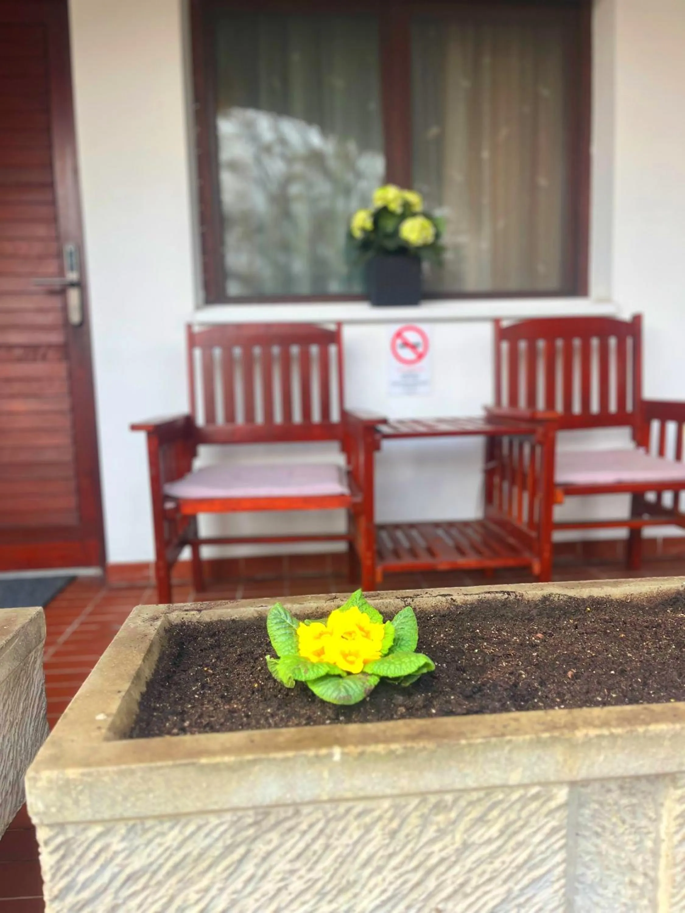 Garden in Hotel Oswaldo