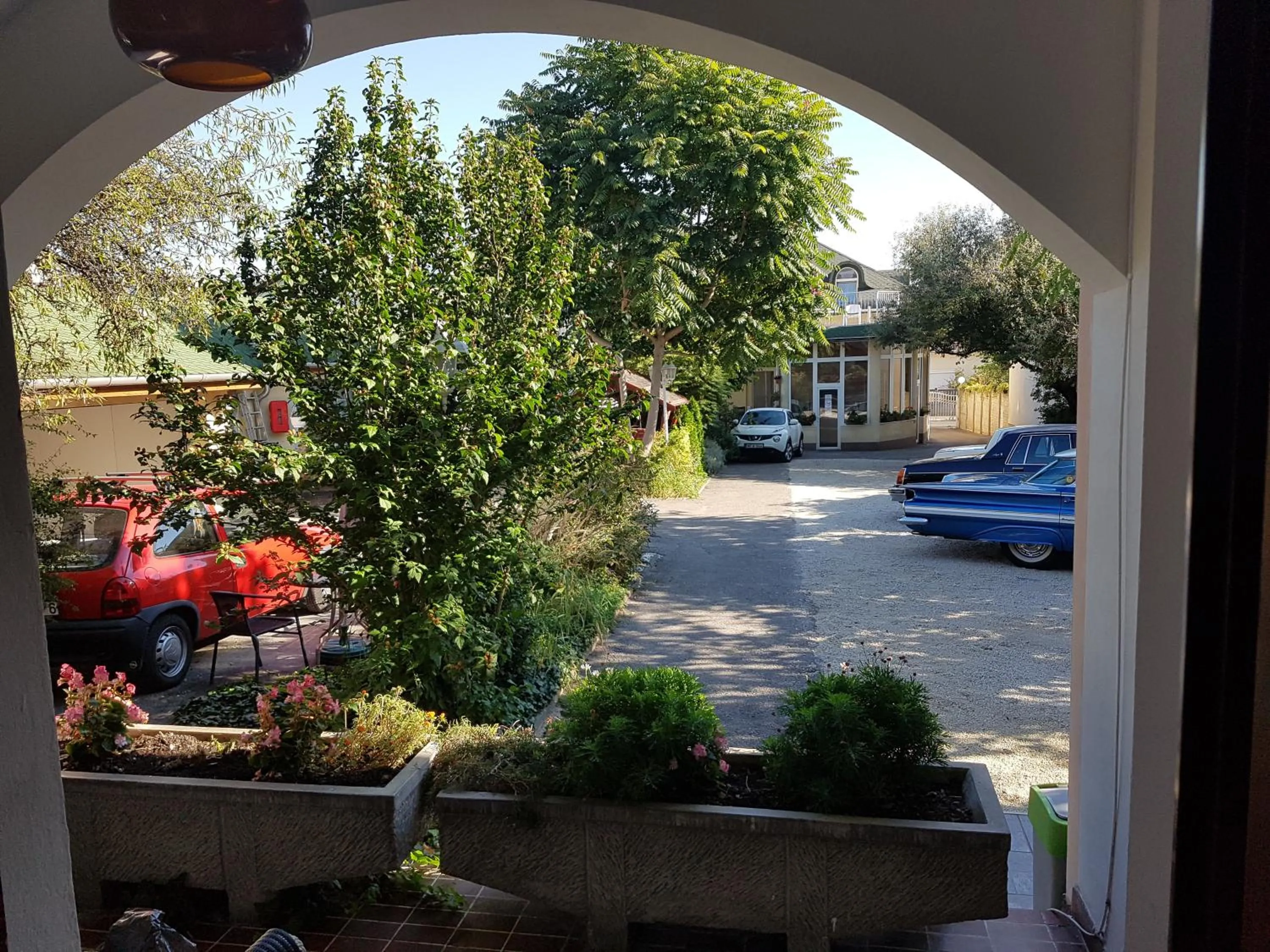 Garden view in Hotel Oswaldo