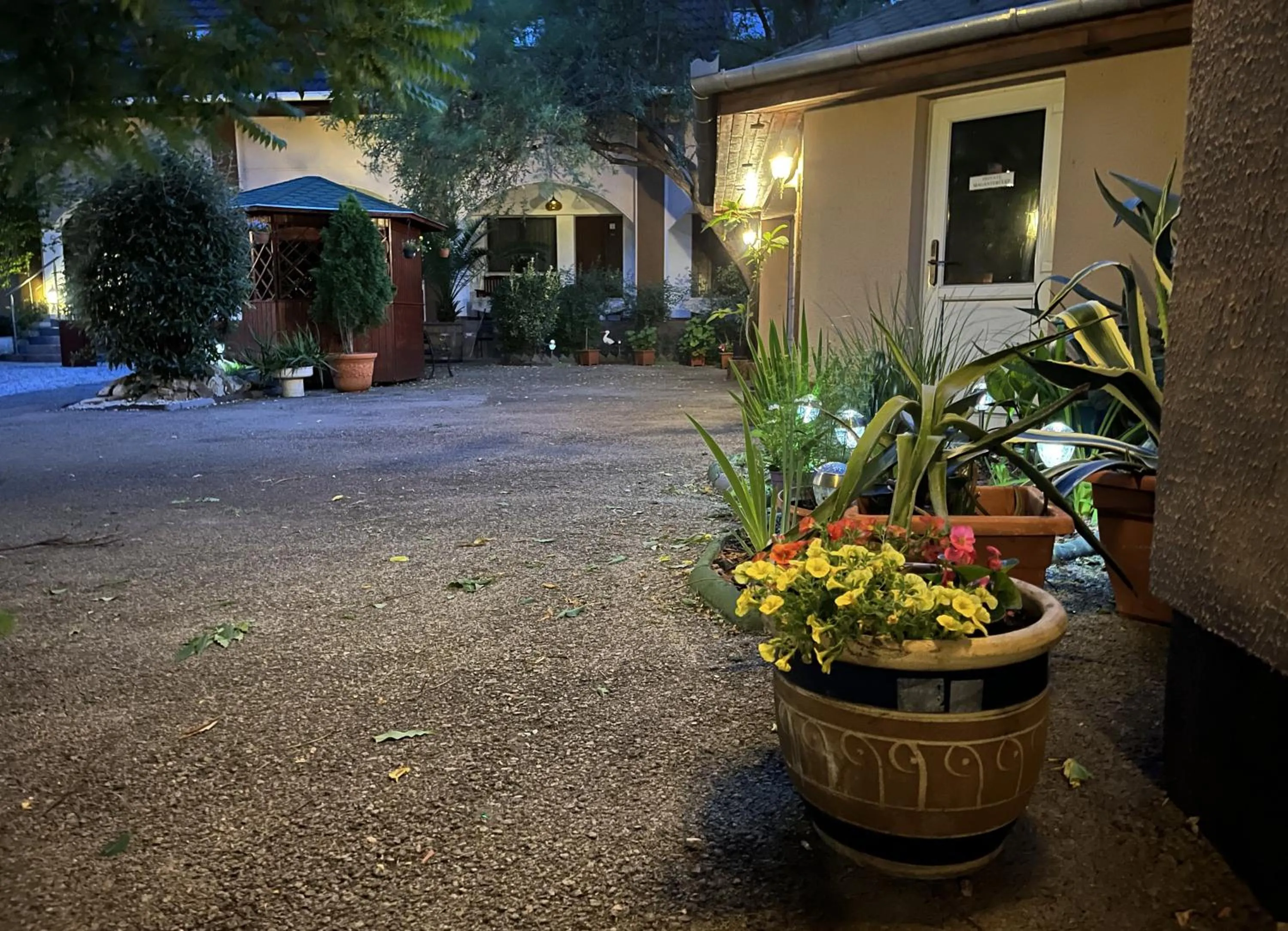 Garden in Hotel Oswaldo