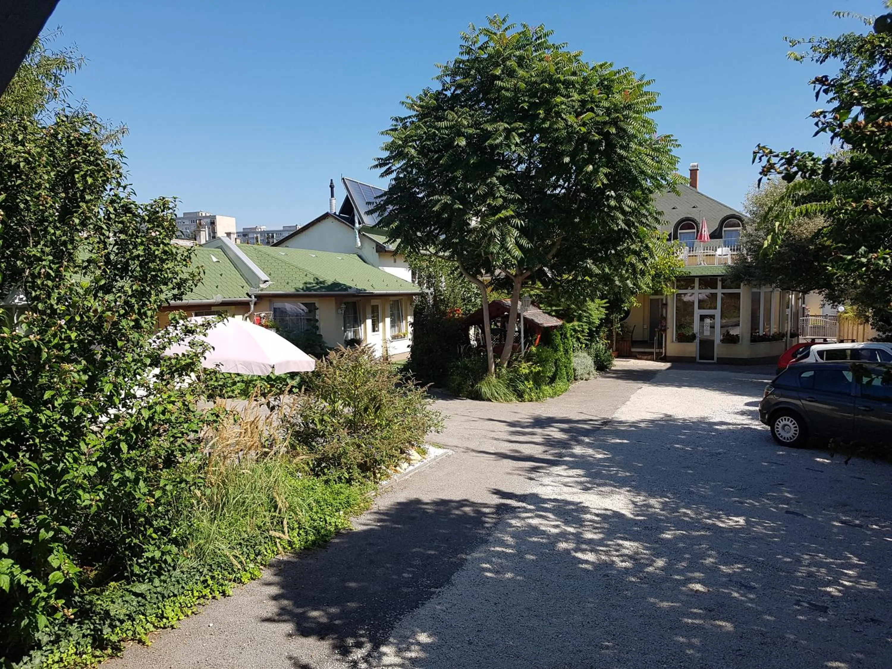 Garden in Hotel Oswaldo