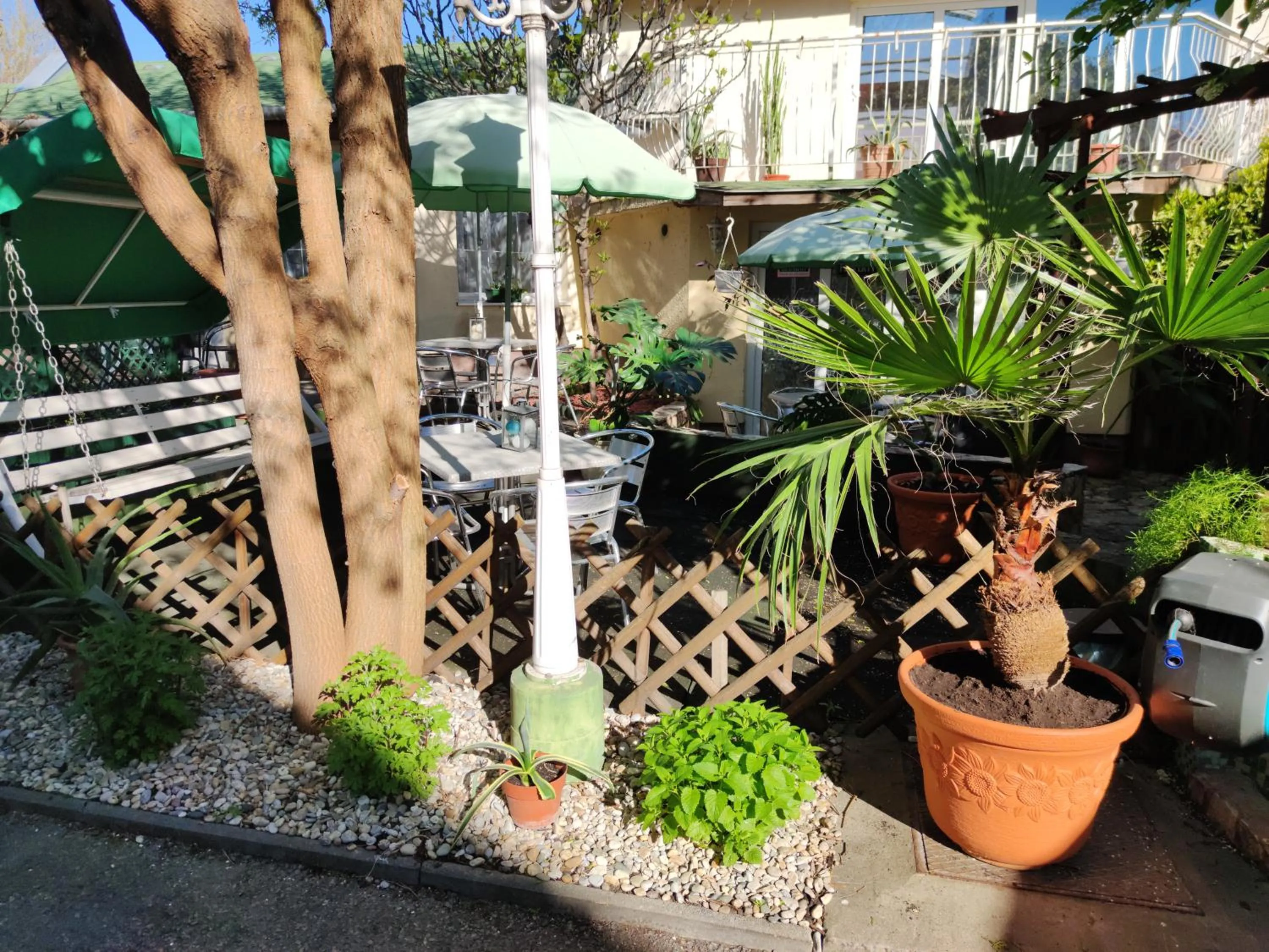 Day in Hotel Oswaldo