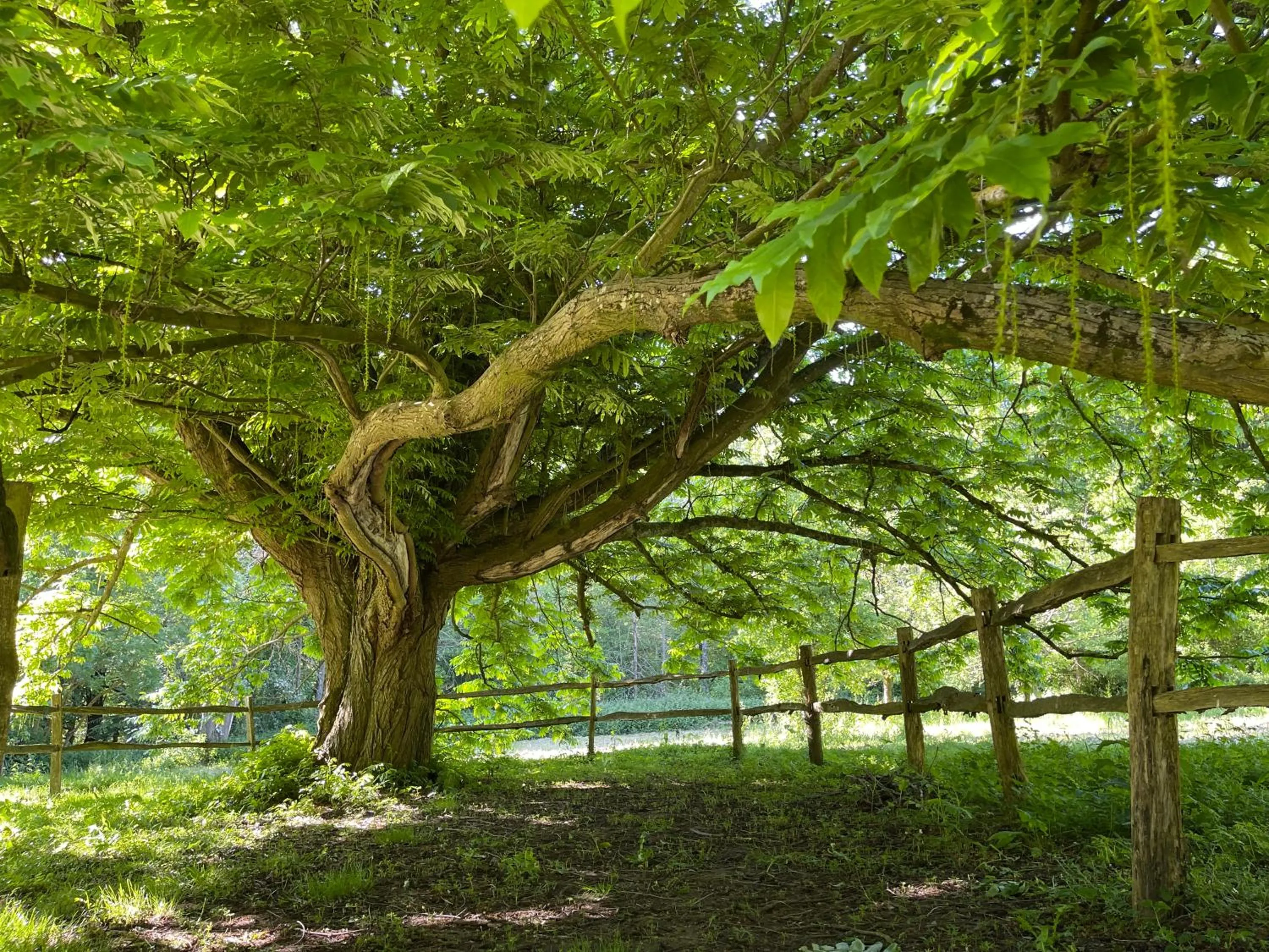Natural landscape in Domaine de Fresnoy