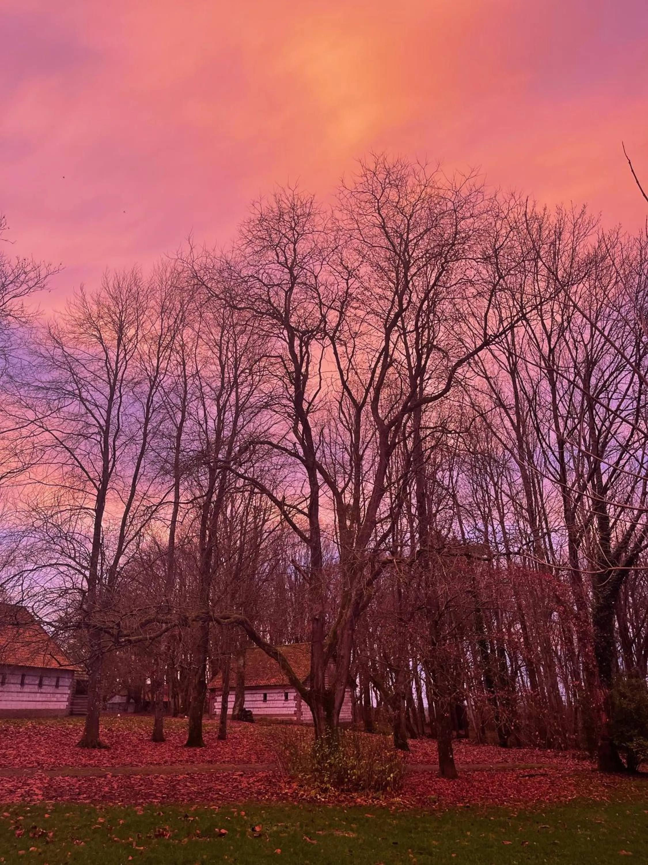 Natural landscape in Domaine de Fresnoy
