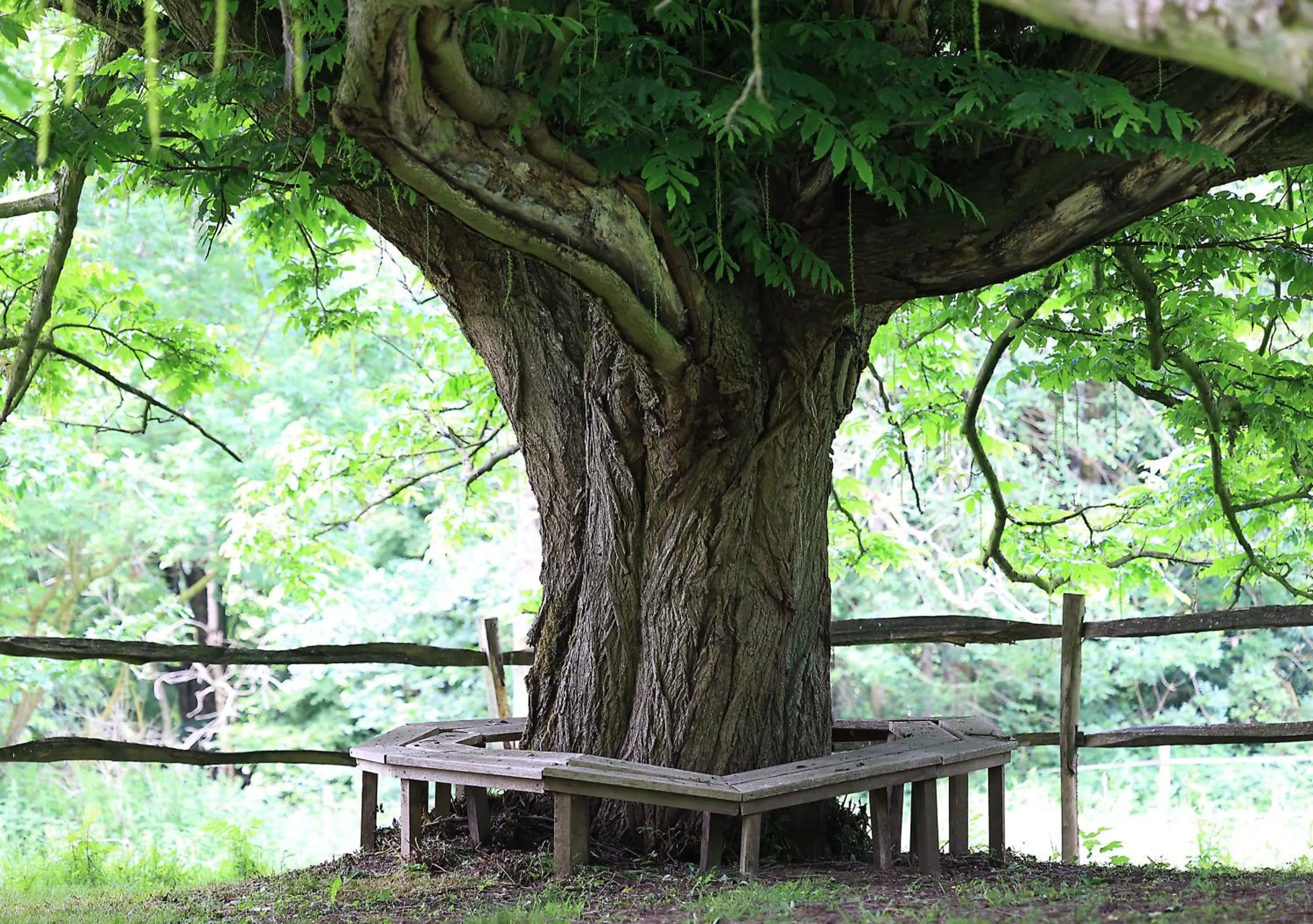 Natural landscape in Domaine de Fresnoy