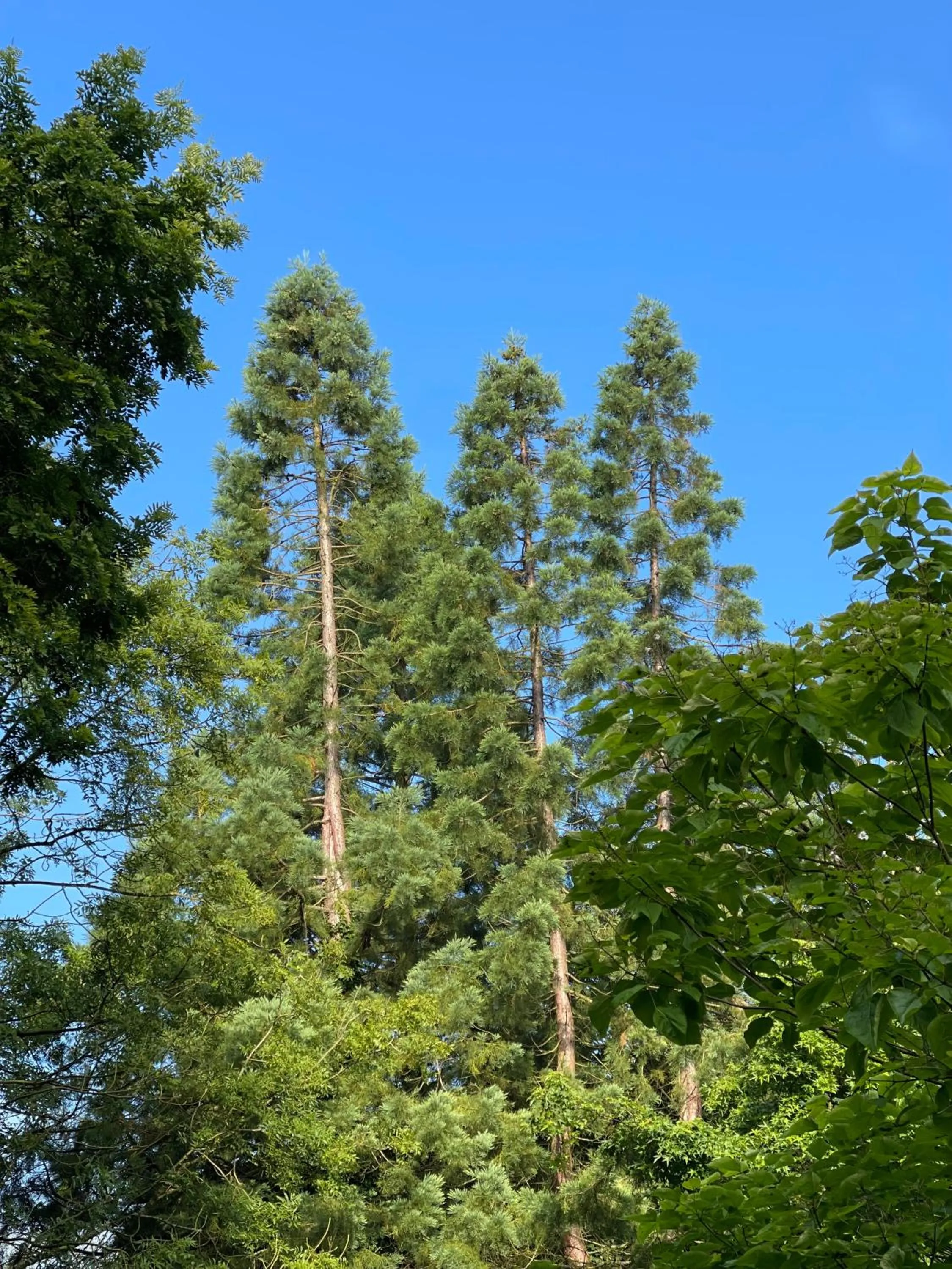 Area and facilities in Domaine de Fresnoy