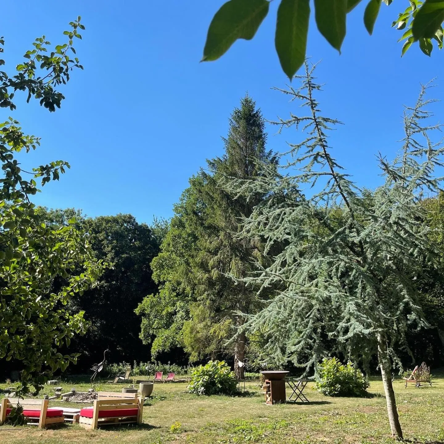 Area and facilities in Domaine de Fresnoy