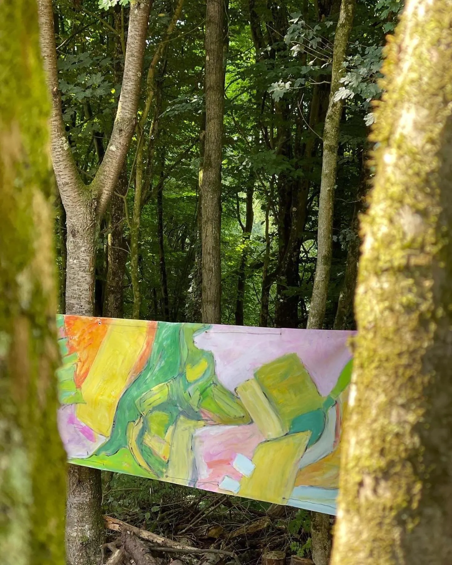 Area and facilities in Domaine de Fresnoy