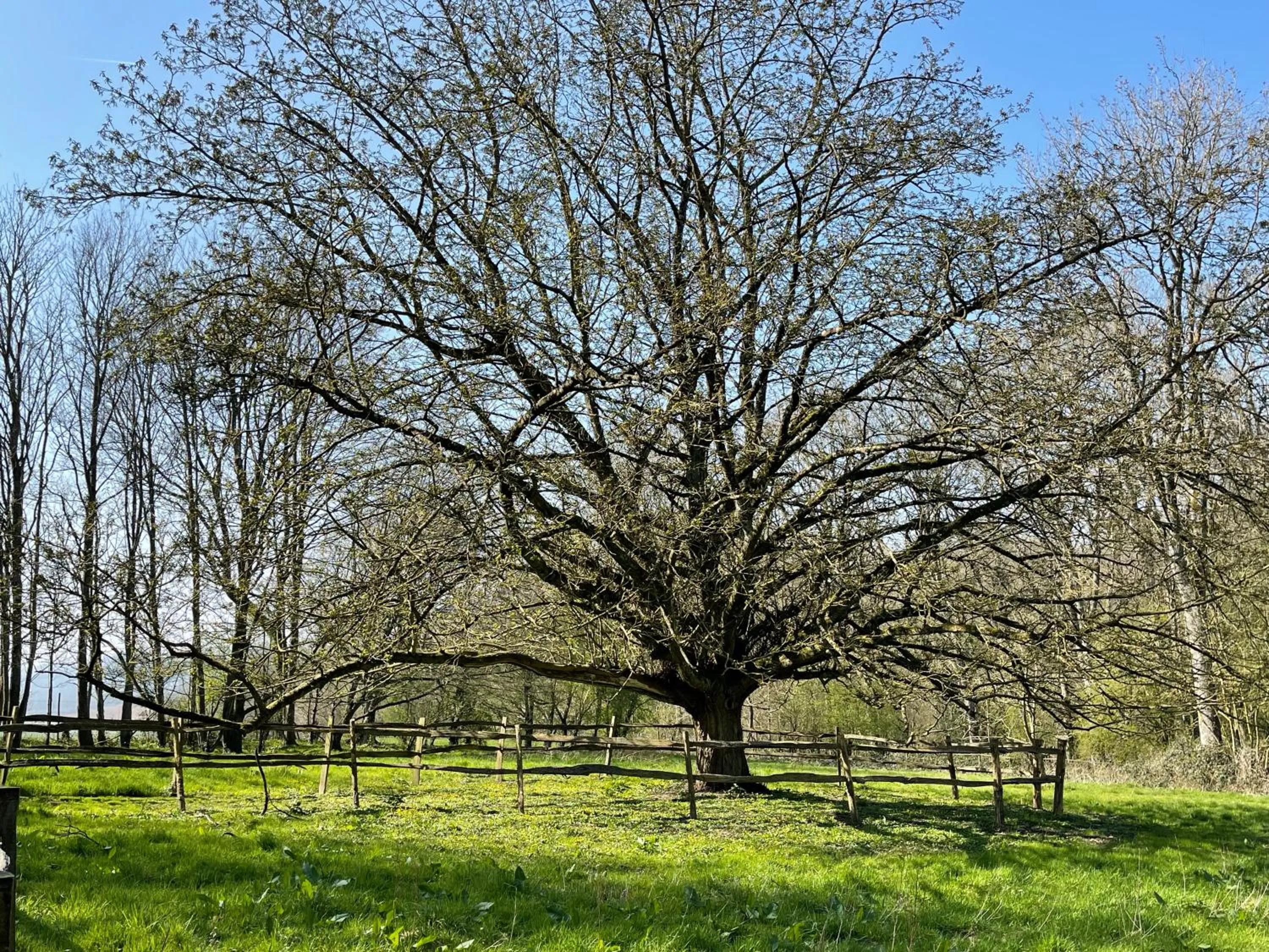 Property building in Domaine de Fresnoy