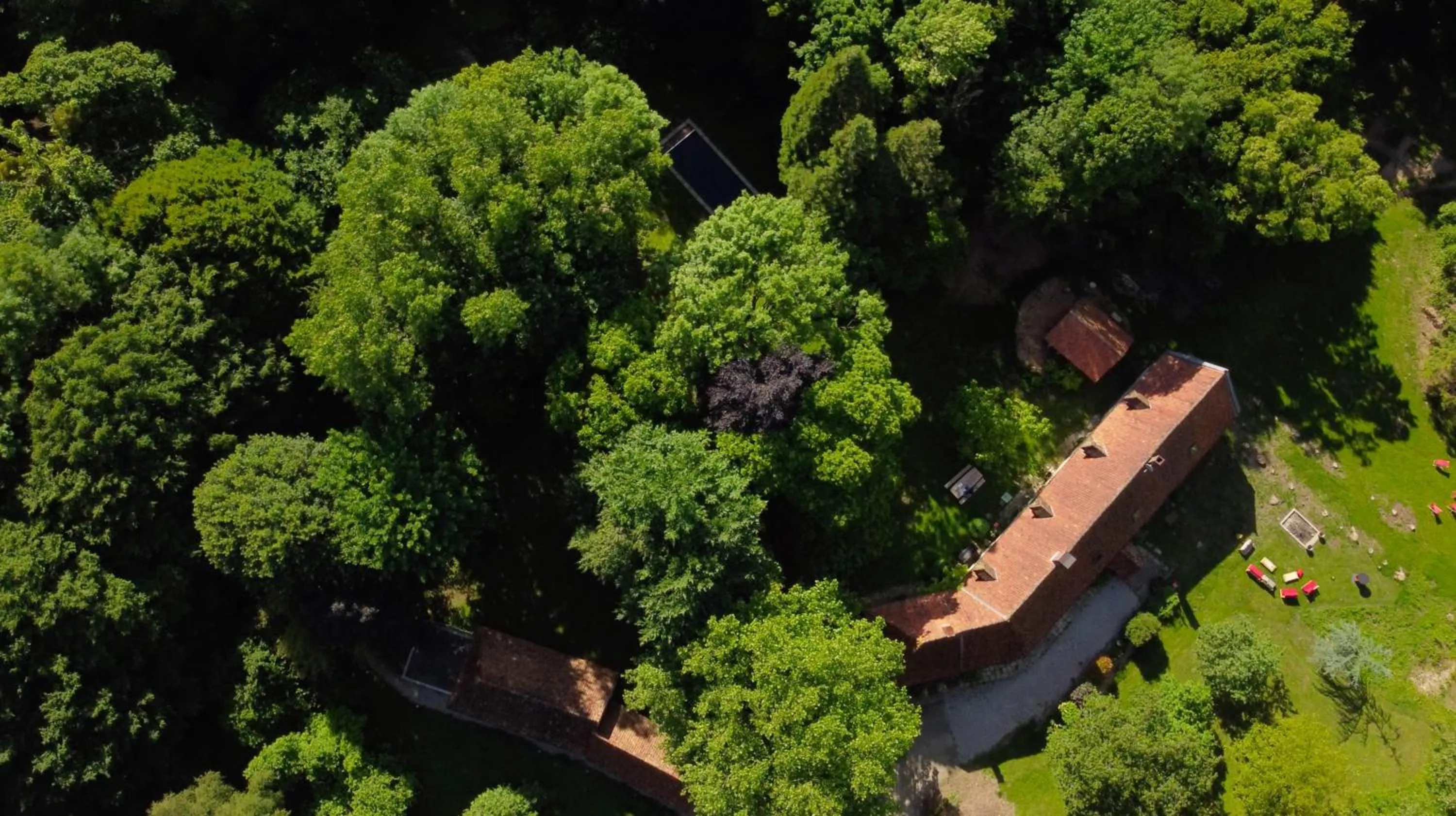 Bird's eye view in Domaine de Fresnoy