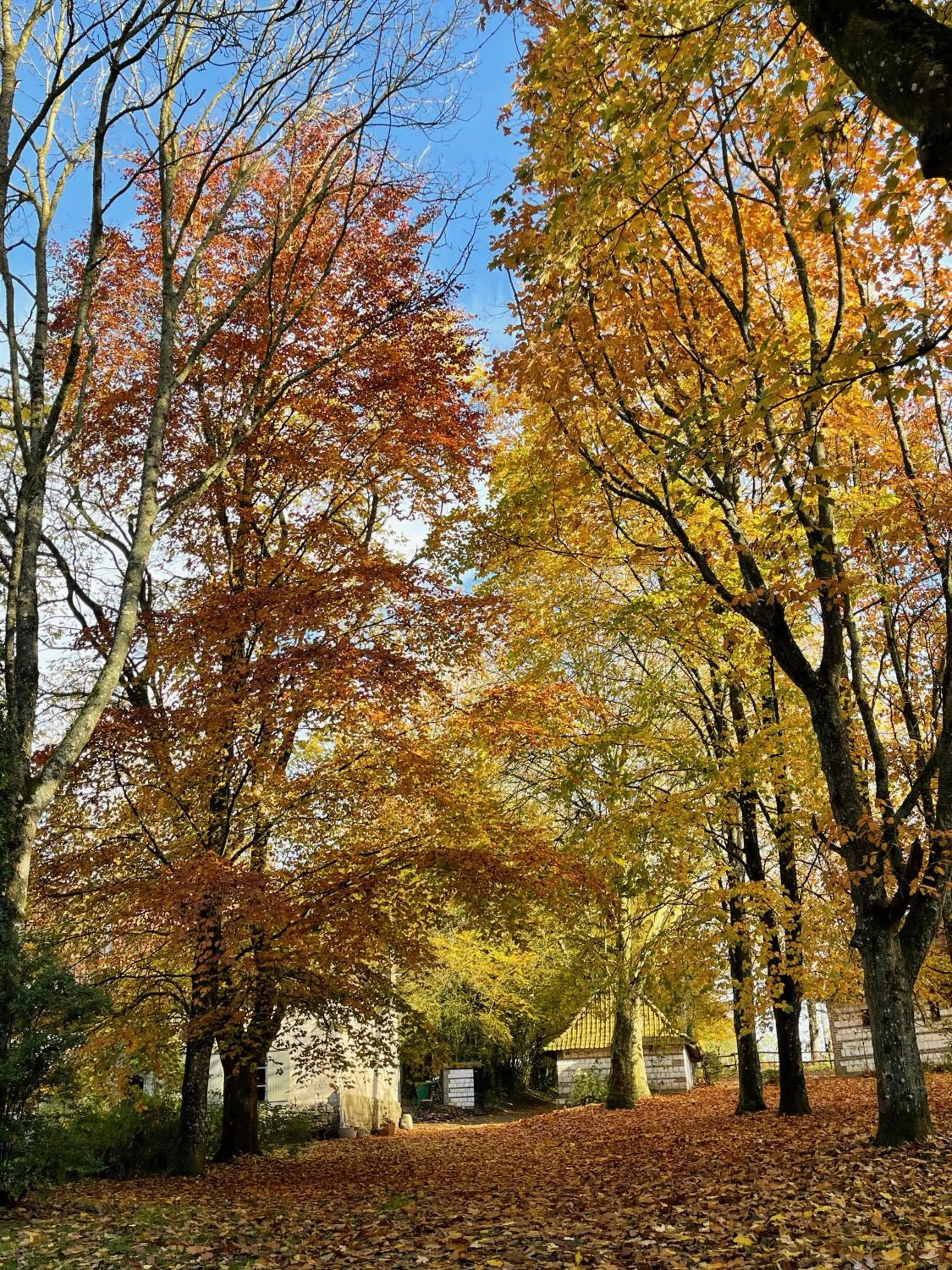 Natural landscape in Domaine de Fresnoy