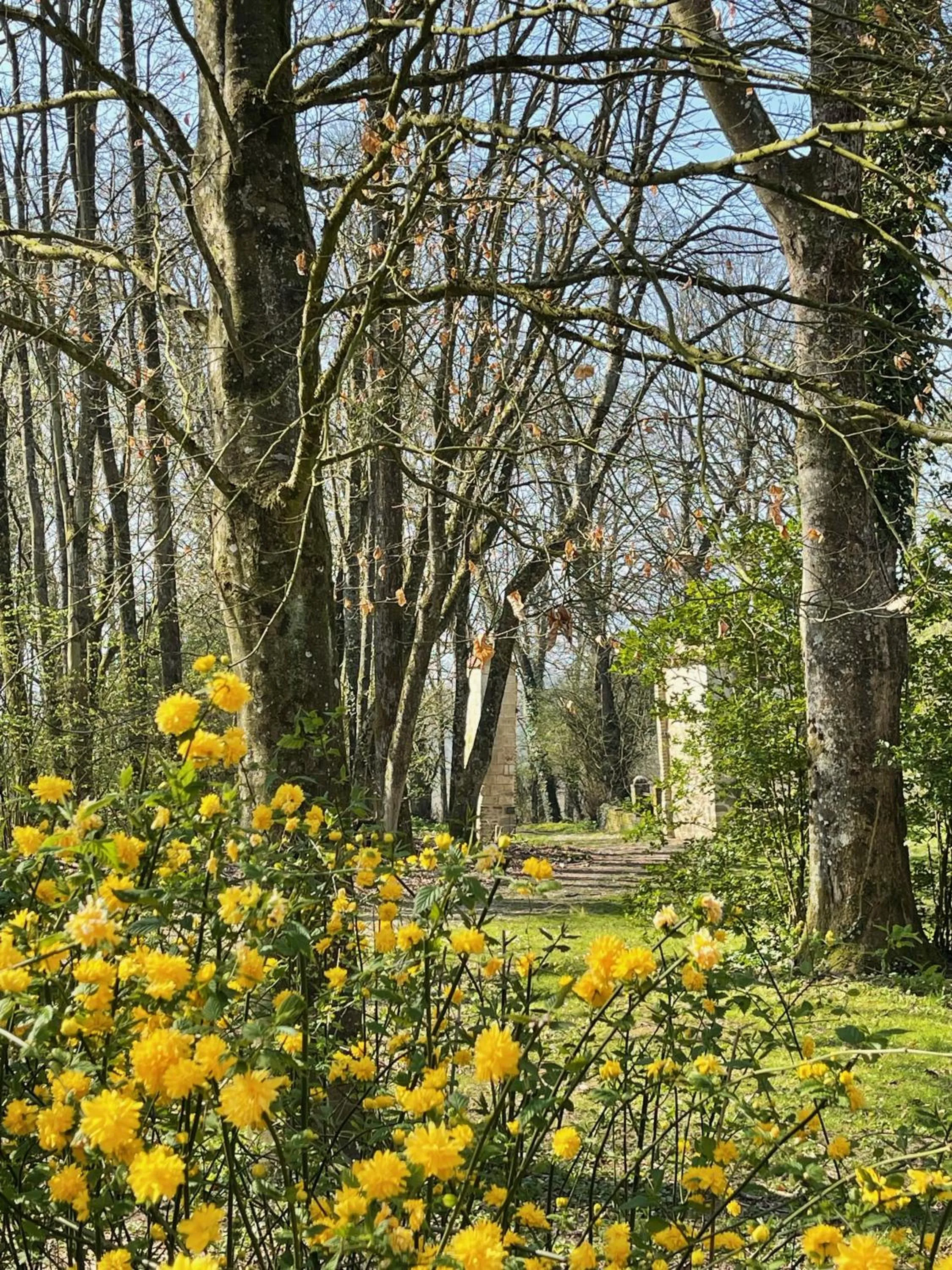Property building in Domaine de Fresnoy