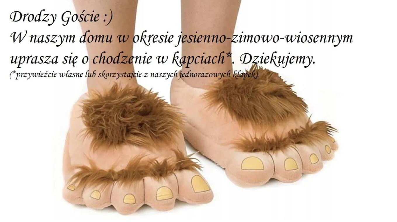 Communal lounge/ TV room in Willa JODŁA Wisła