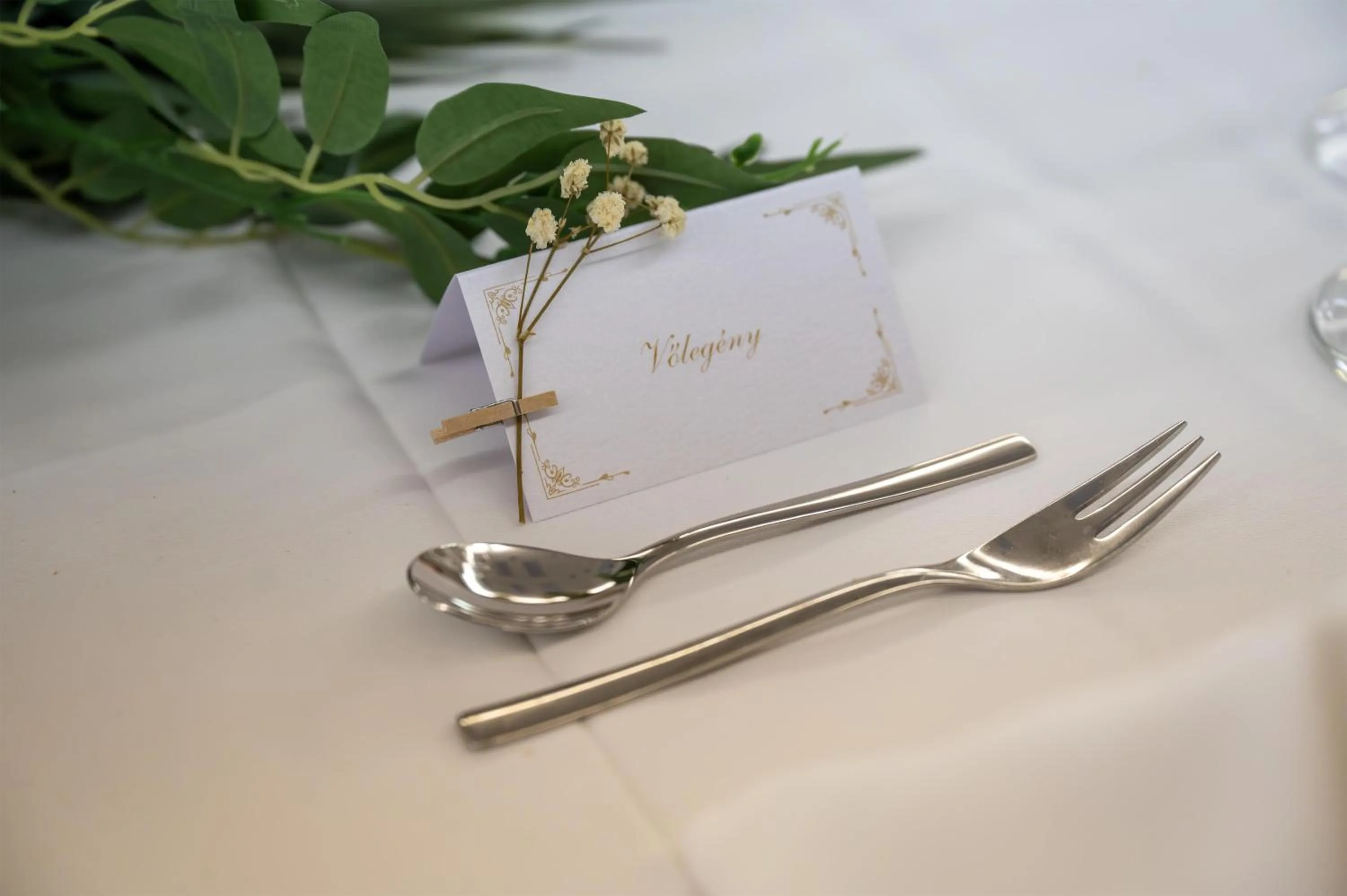 wedding in Park Inn by Radisson Sarvar Resort & Spa - All Inclusive