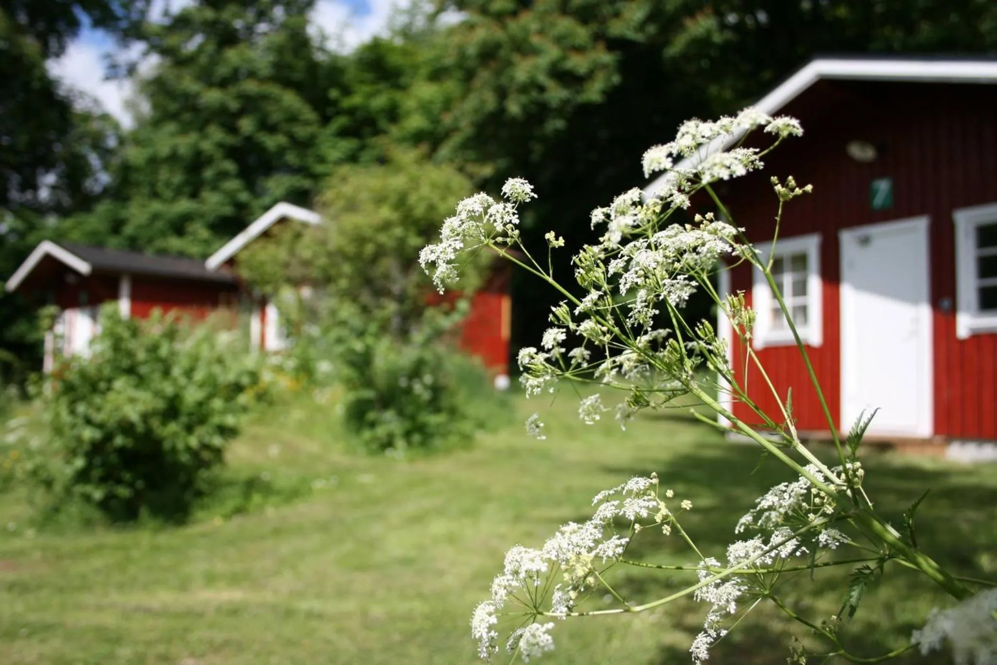 Garden in Klåveröd logi & café