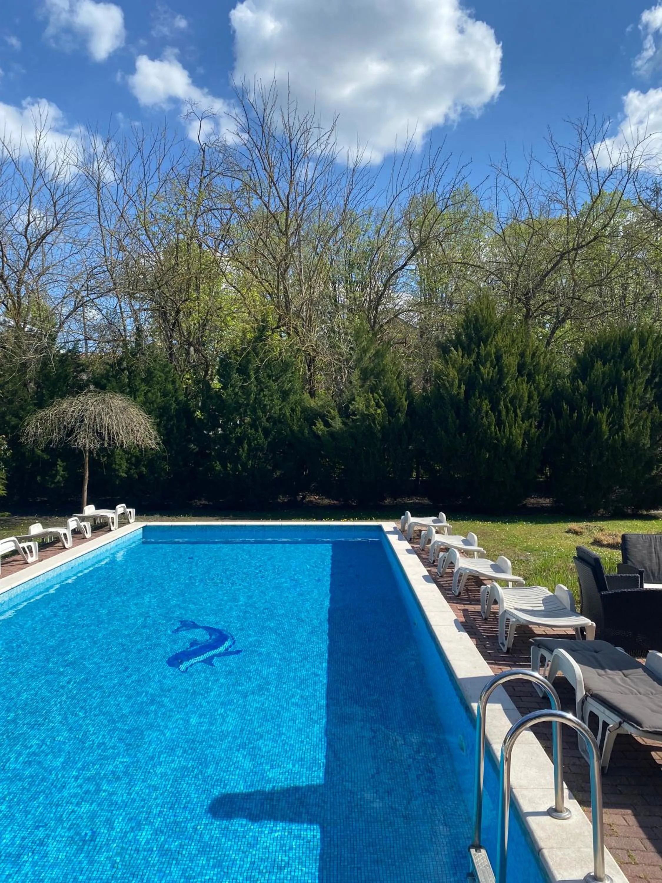 Swimming pool in Főnix Hotel